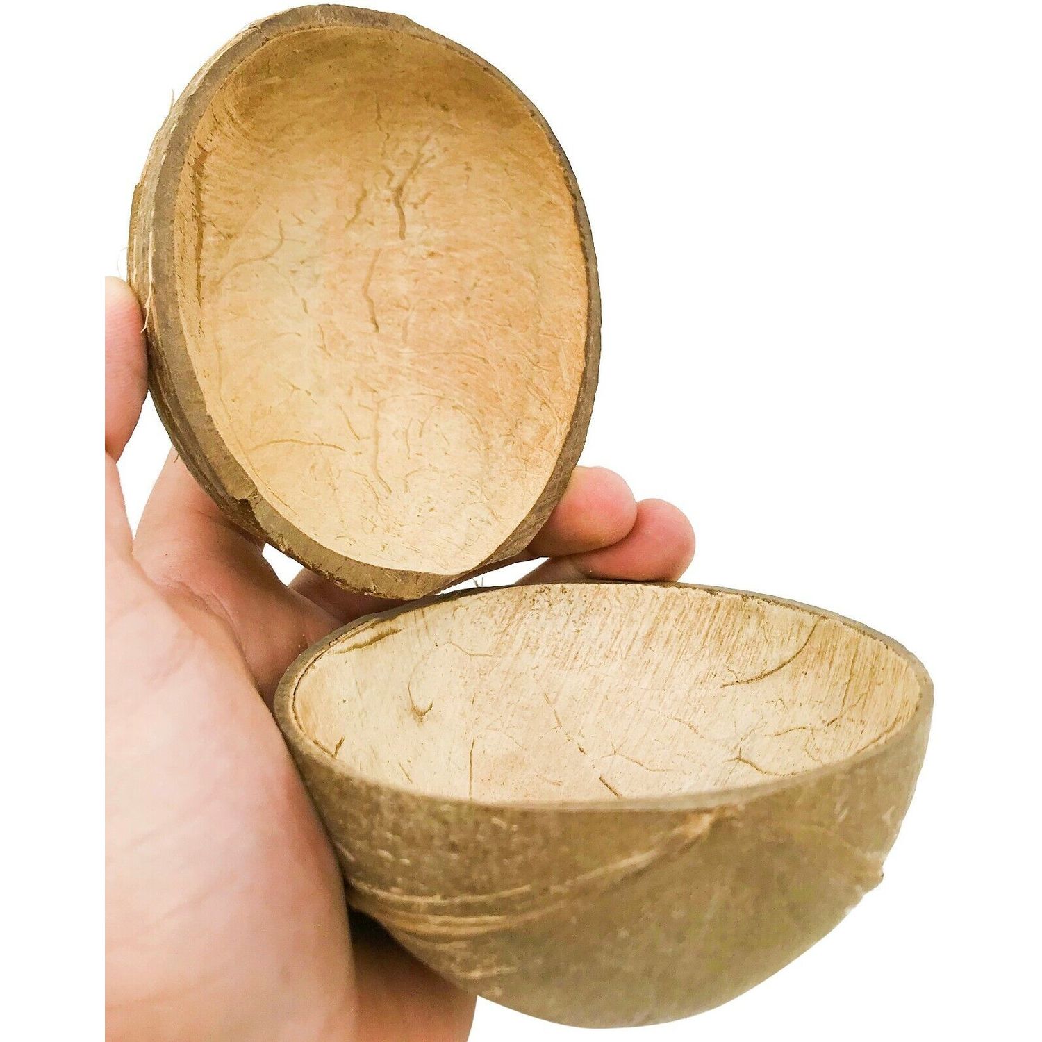 2055 Pk2 Coconut Cup Flat Base Bird Parrot Seed Water Bowl Toy Craft Toys Pet