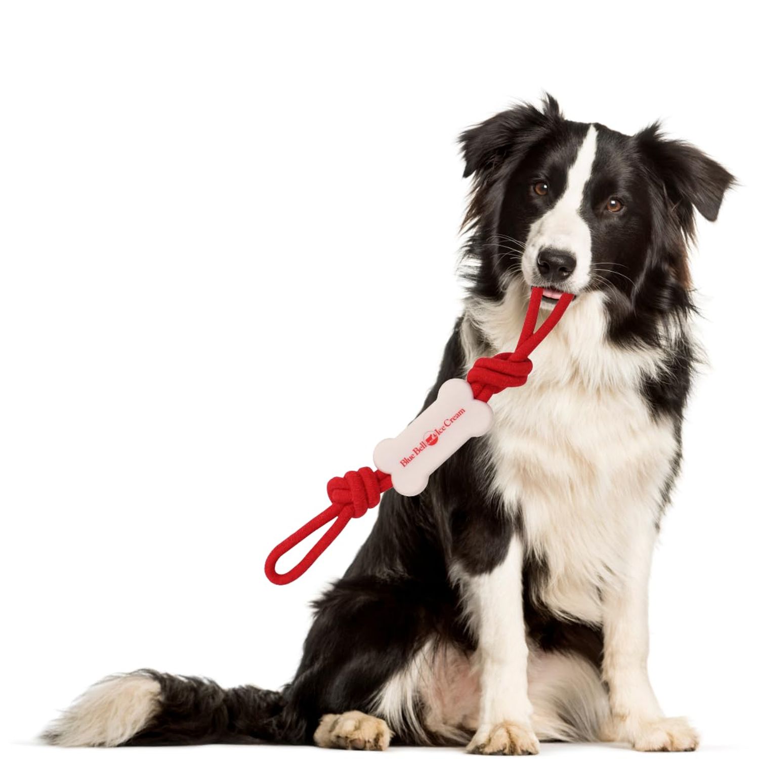 Blue Bell Ice Cream | Dog Toy, Rubber Chew Toy with Rope, Tug and Pull Toy