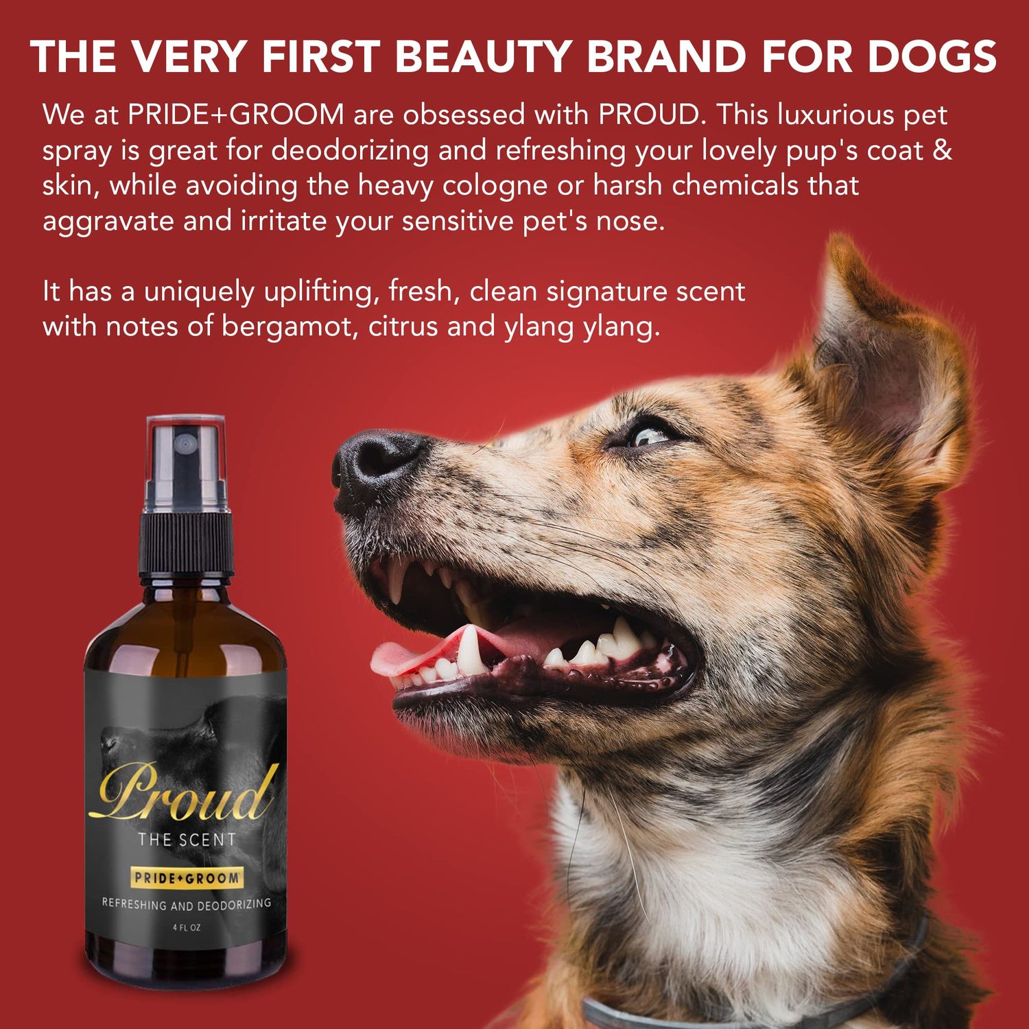Pride and Groom Proud – Luxurious Dog Grooming Spray & Pet Deodorizer with Uniquely Uplifting, Fresh and Clean Signature Scent That’s Safe for Your Pet’s Sensitive Nose – 4 fl oz