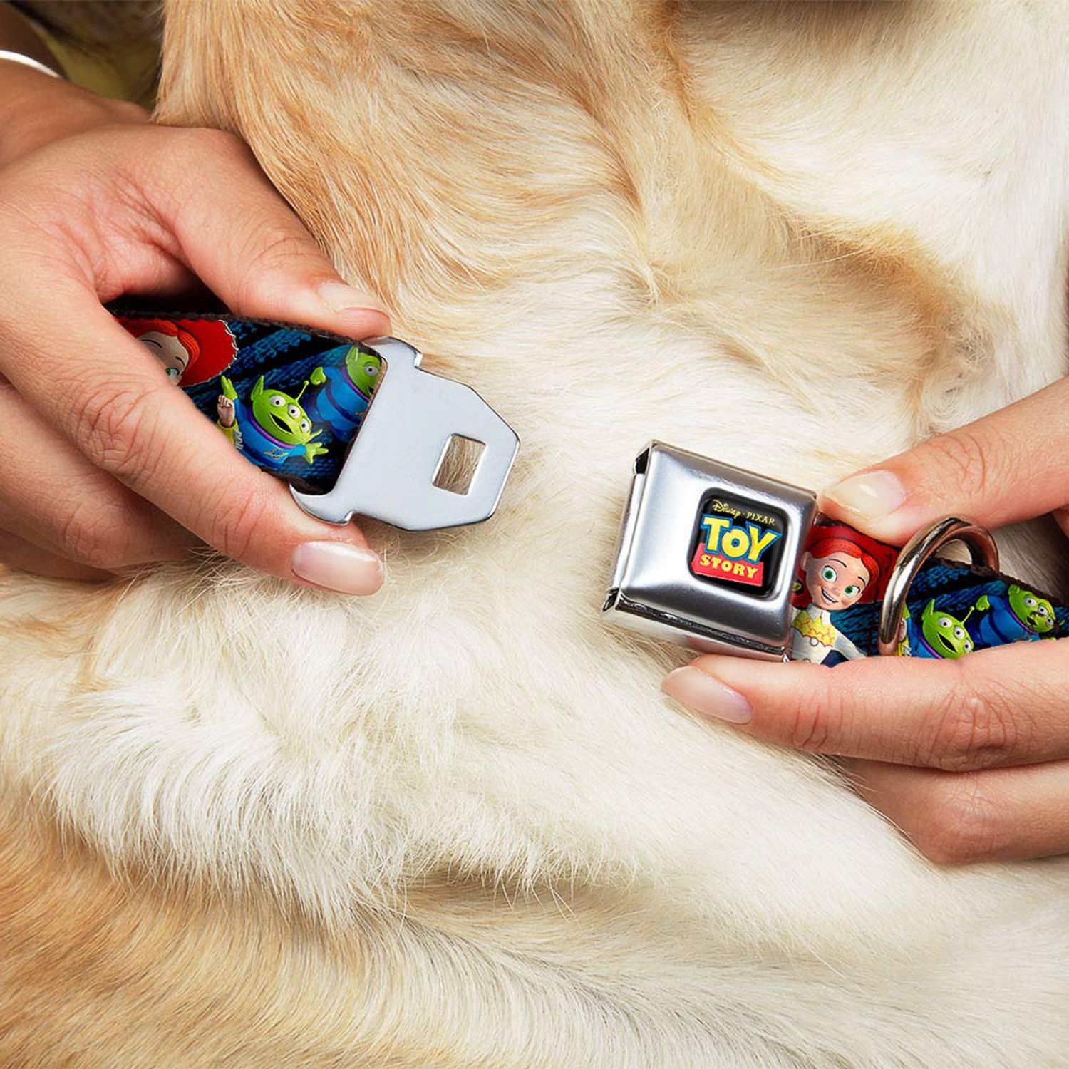 Dog Collar Seatbelt Buckle Toy Story Characters Running Denim Rays 18 to 32 Inches 1.5 Inch Wide