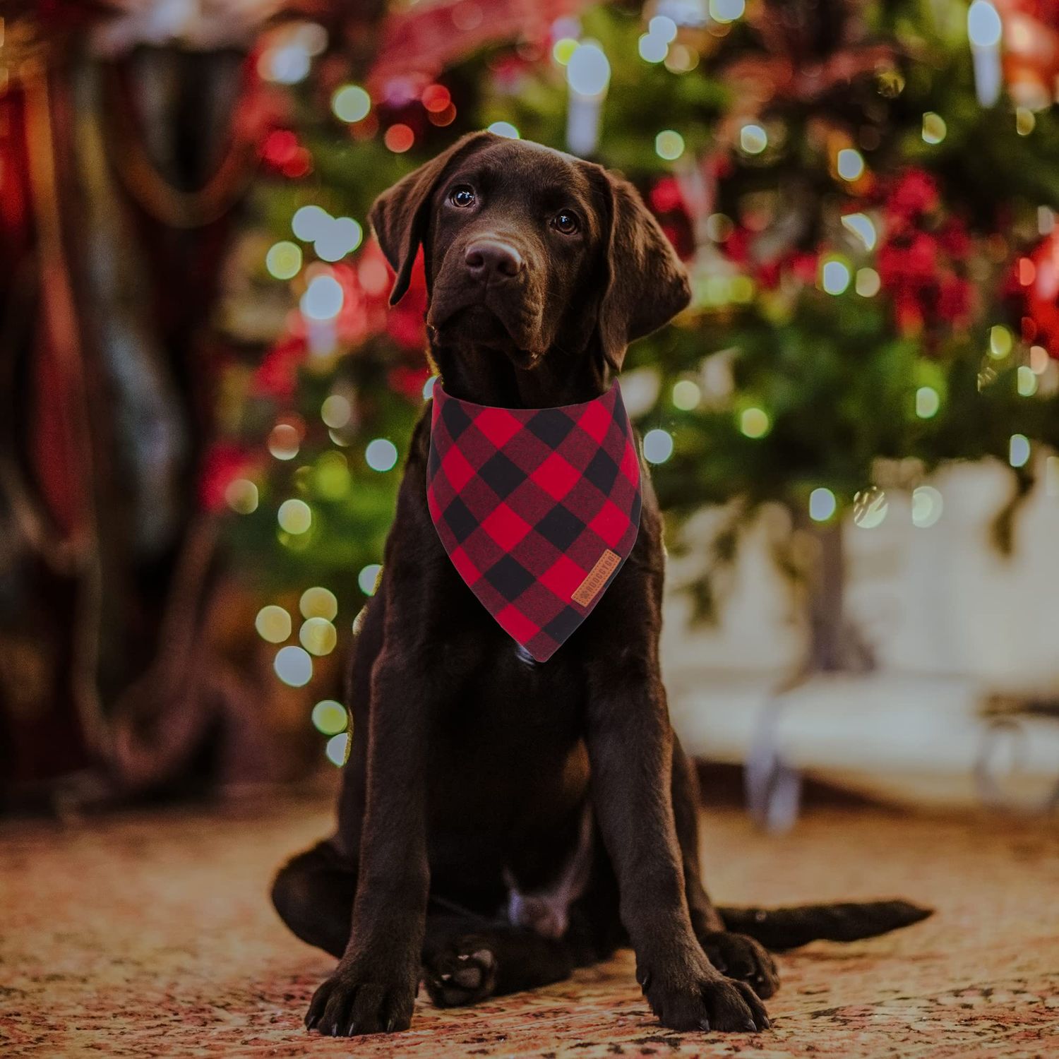 ADOGGYGO Christmas Dog Bandanas 2 Pack, Premium Cotton Fabric, Multiple Sizes Offered, Red Green Plaid Bandanas for Medium Large Dogs (Large, Xmas)