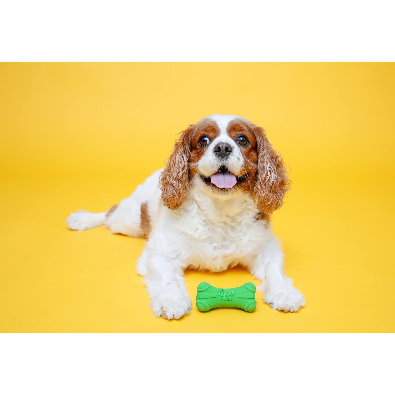 Hartz DuraPlay Bone Squeaky Latex Dog Toy for Medium Breeds, 3 Pack