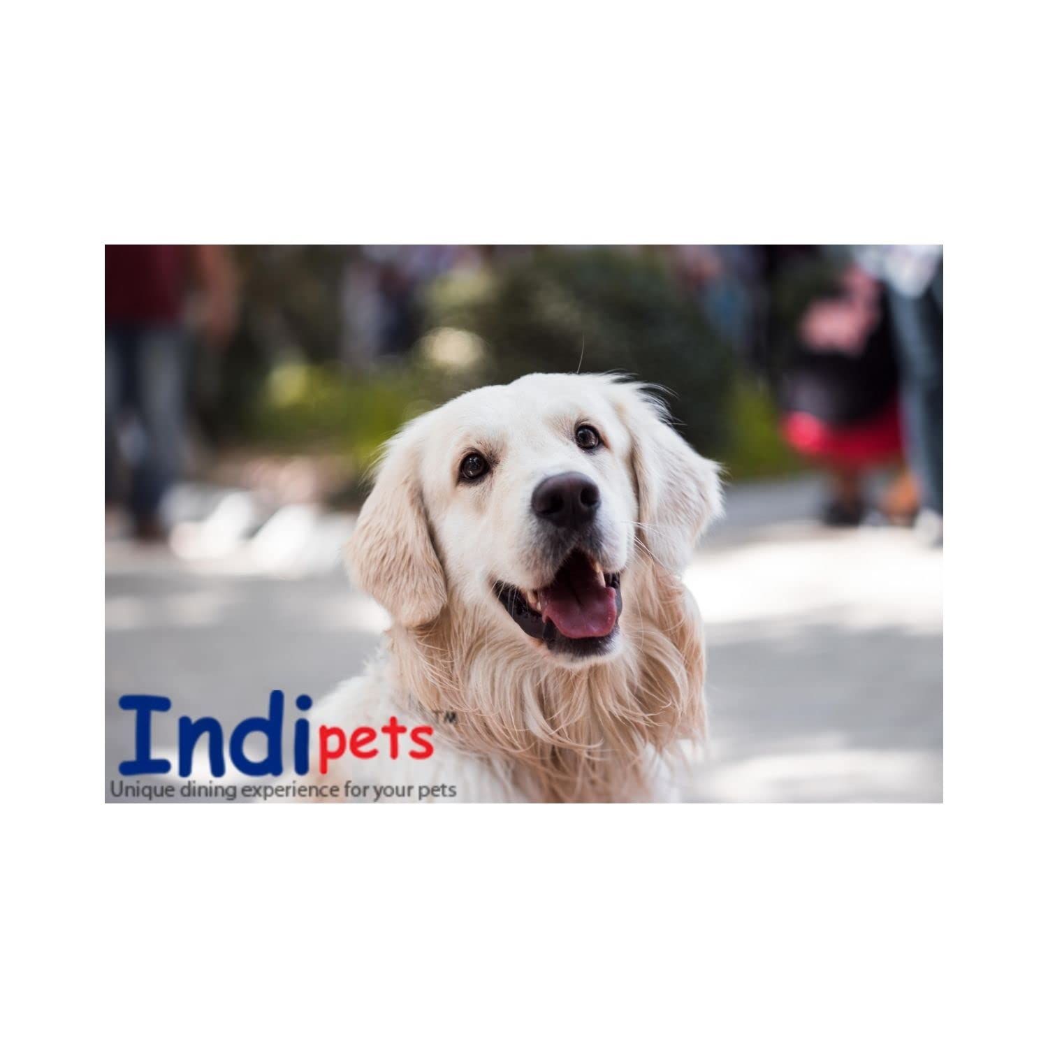 Indipets Heavy Duty Stainless Steel Dog Bowl - 1 Quart - High Gloss, Easy to Clean Finish