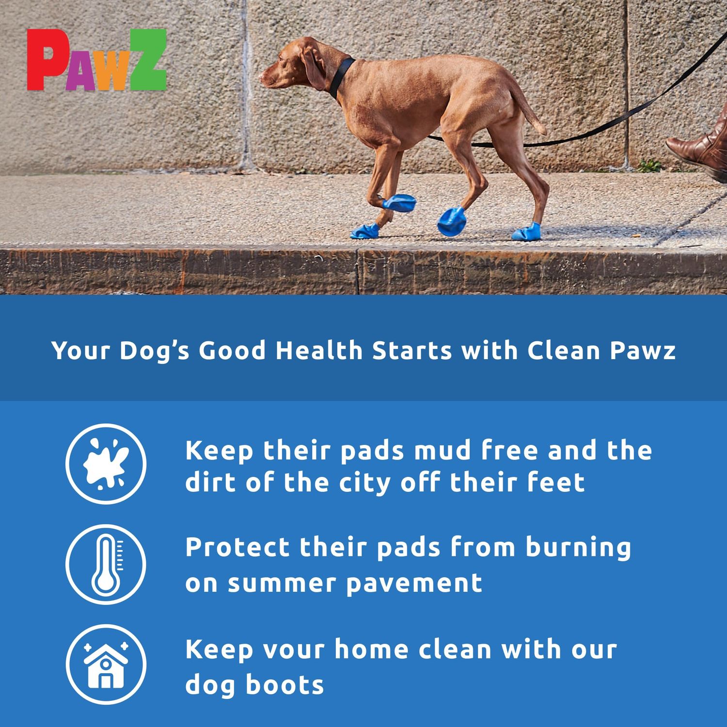 PawZ Rubber Dog Boots for Paws to 3" - All-Weather Dog Booties for Hot Pavement, Sand, Snow, Mud, and Rain - Anti Slip Dog Socks - M, Blue