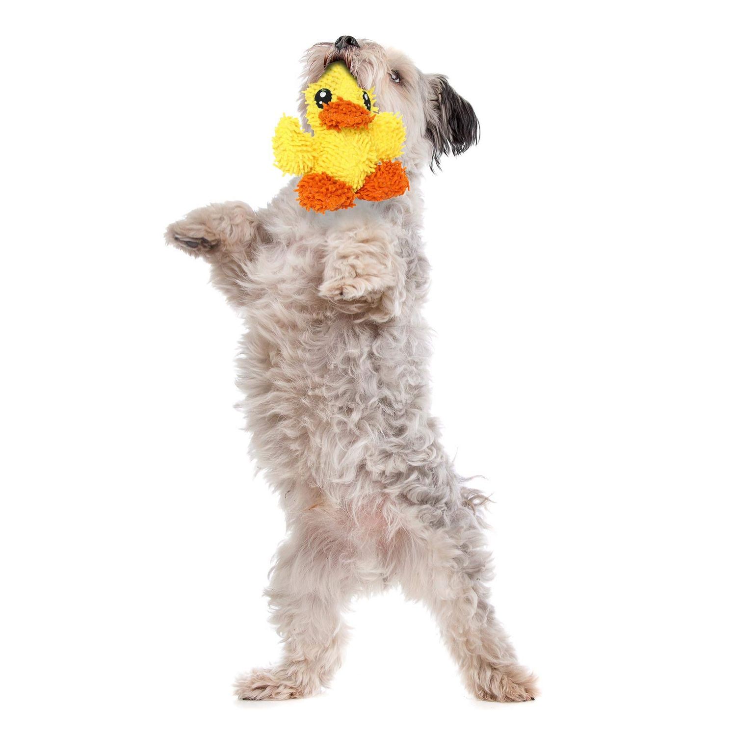MIGHTY- Microfiber Ball Monster - Made with Squeaker Balls and Minimal Stuffing. Strong & Tough. Interactive Play Dog Toy. Machine Washable & Floats (2 Combo Pack)