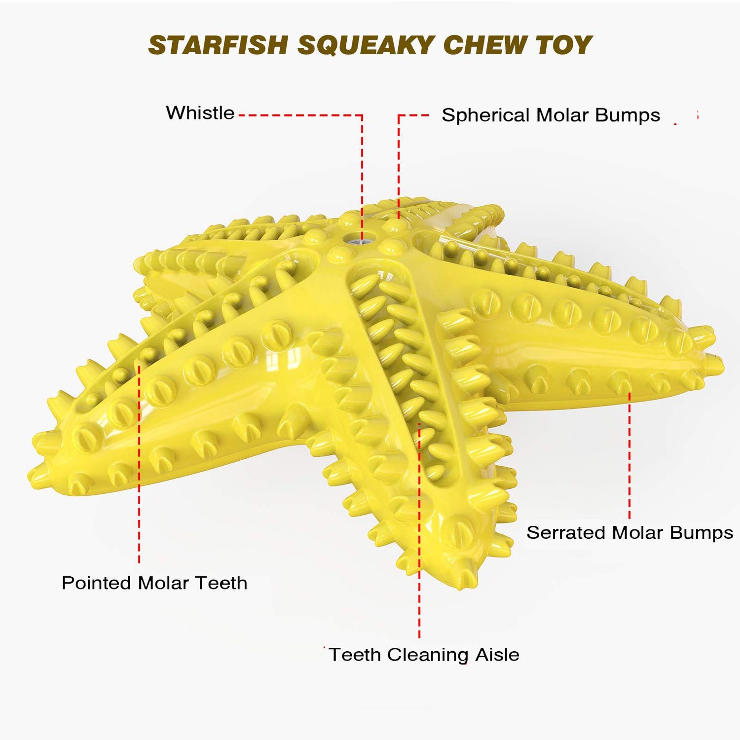 IDOLPET Dog Chew Toys Squeaky Dog Toys Dog Water Floating Toys Starfish Natural Tooth Brush Teeth Cleaning Toy for Small Medium Dog Yellow