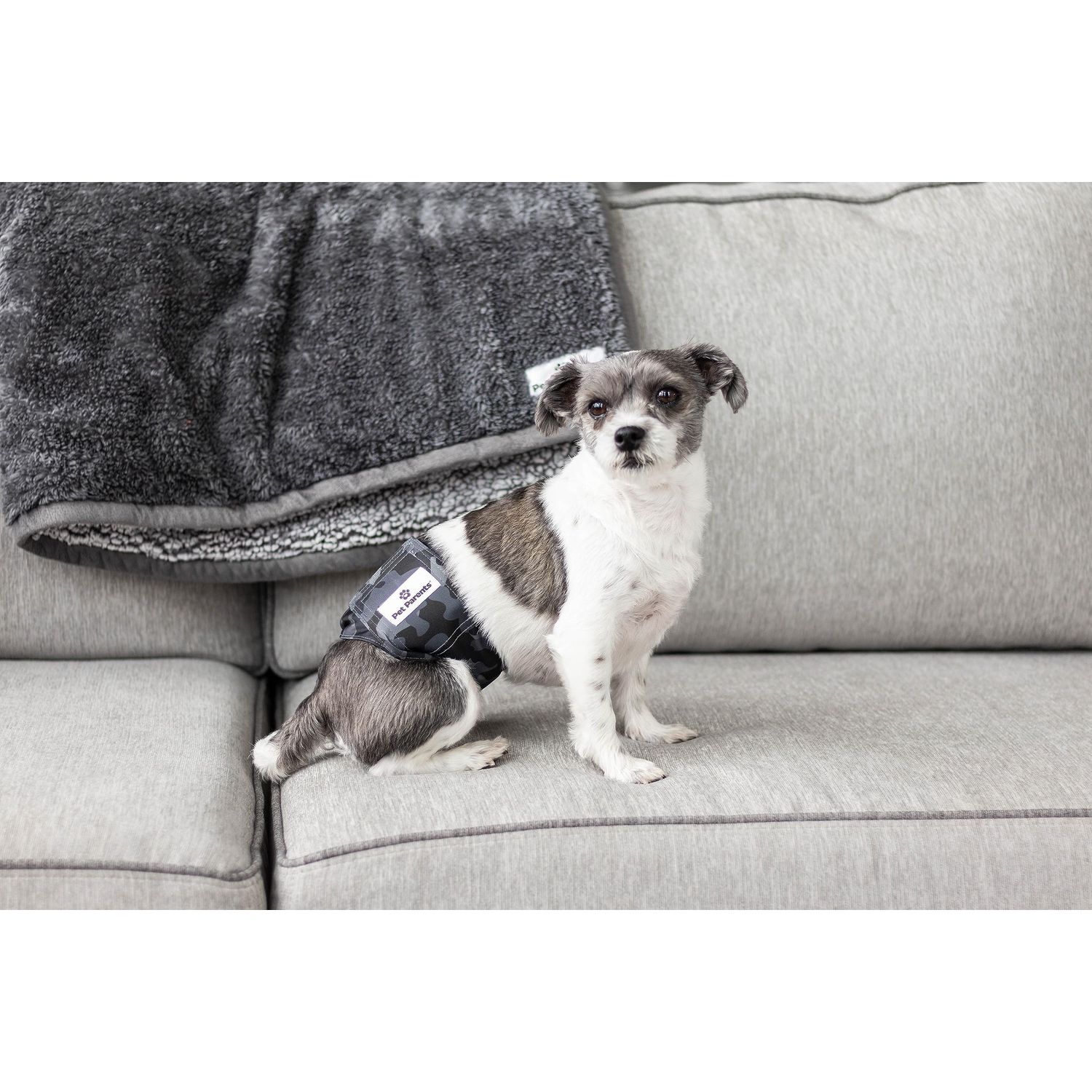 Pet Parents Premium Washable Belly Bands for Male Dogs & Extendrs, (3pack) of Male Dog Diapers & Male Dog Belly Bands, Color: Camo, Size: Medium Dog Diapers Male