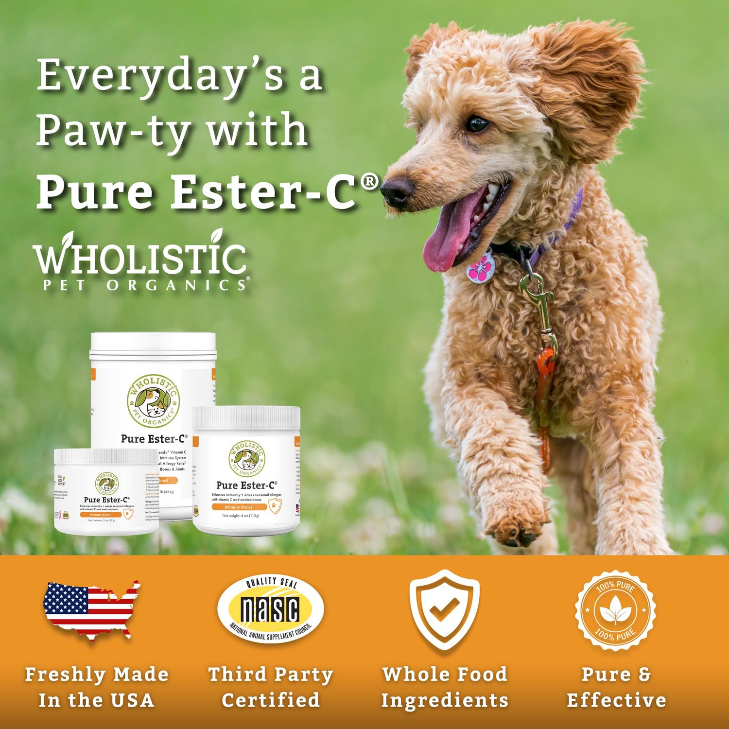 Wholistic Pet Organics Pure Ester-C Powder for Dogs & Cats - 4 Oz - Vitamin C Supplement for Immune Support, Skin & Coat Health, & Allergy Relief - Dog Vitamin Powder for Itchy Skin & Homemade Food