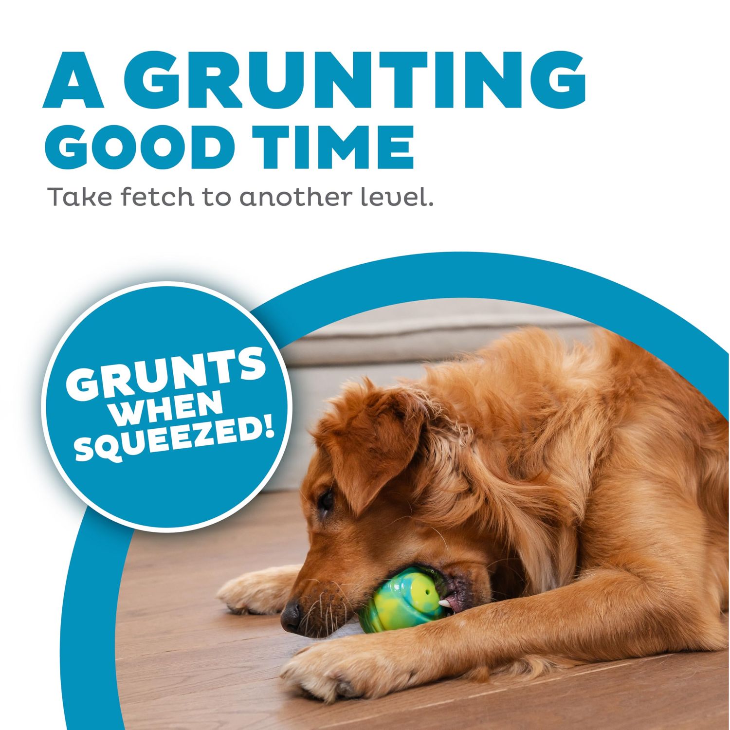 Outward Hound Grunt N' Punt Tennis Ball - Fetch Ball Dog Toy, Multi