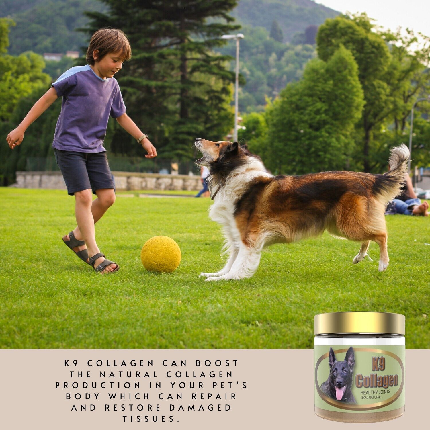Collagen Hip-Joint Pet Dog Supplements Improve Mobility Health For 1 Month