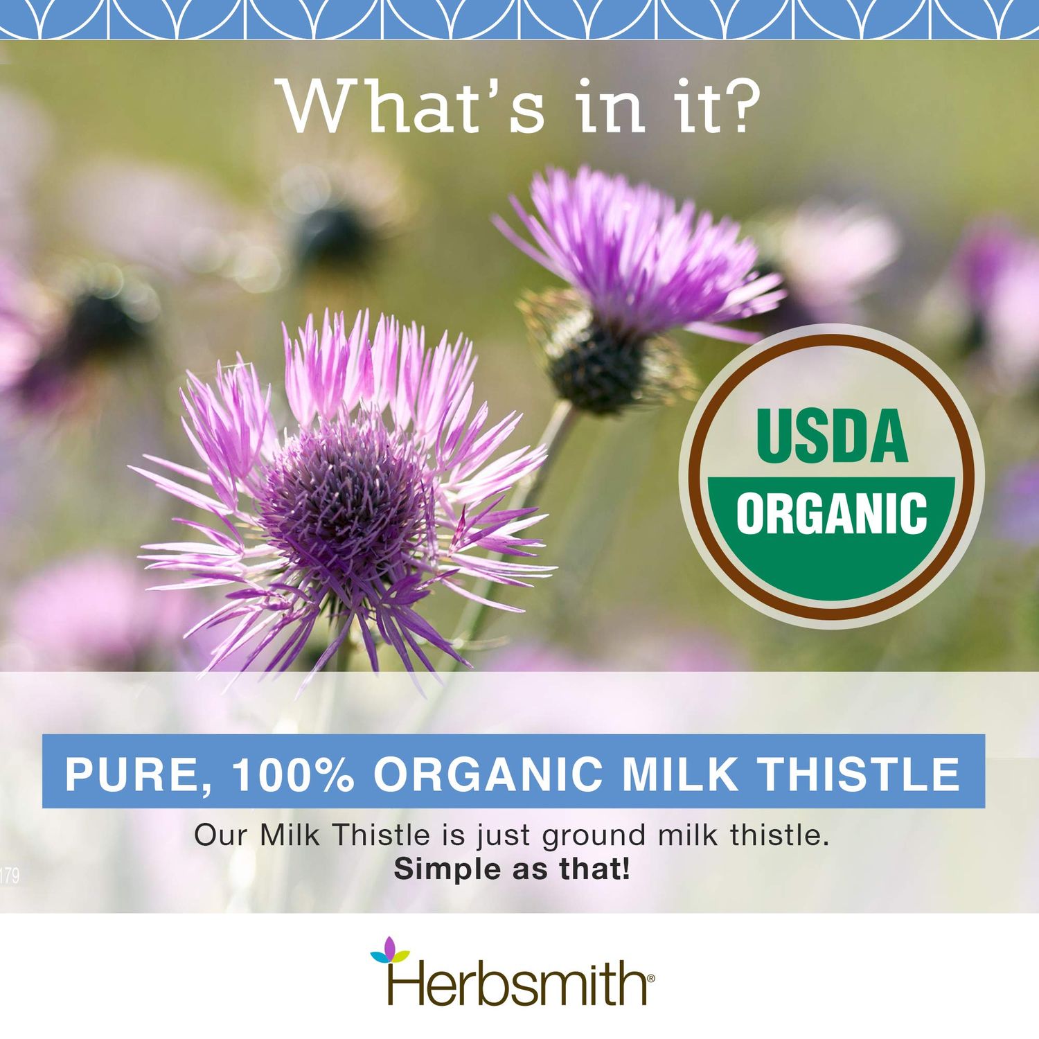 Herbsmith Organic Milk Thistle for Dogs and Cats – Liver Supplement for Dogs & Cats – Made in USA – 500g Powder