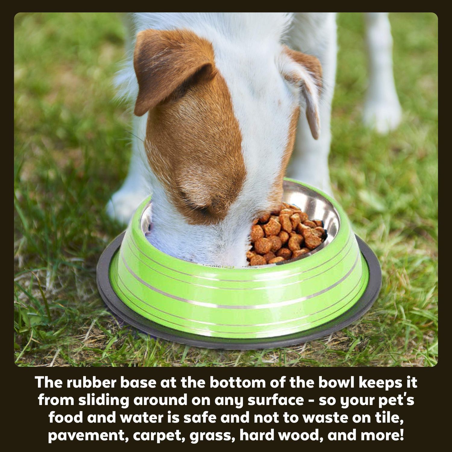 Iconic Pet Color Splash Stripe Non-Skid Pet Bowl, 32-Ounce, Green
