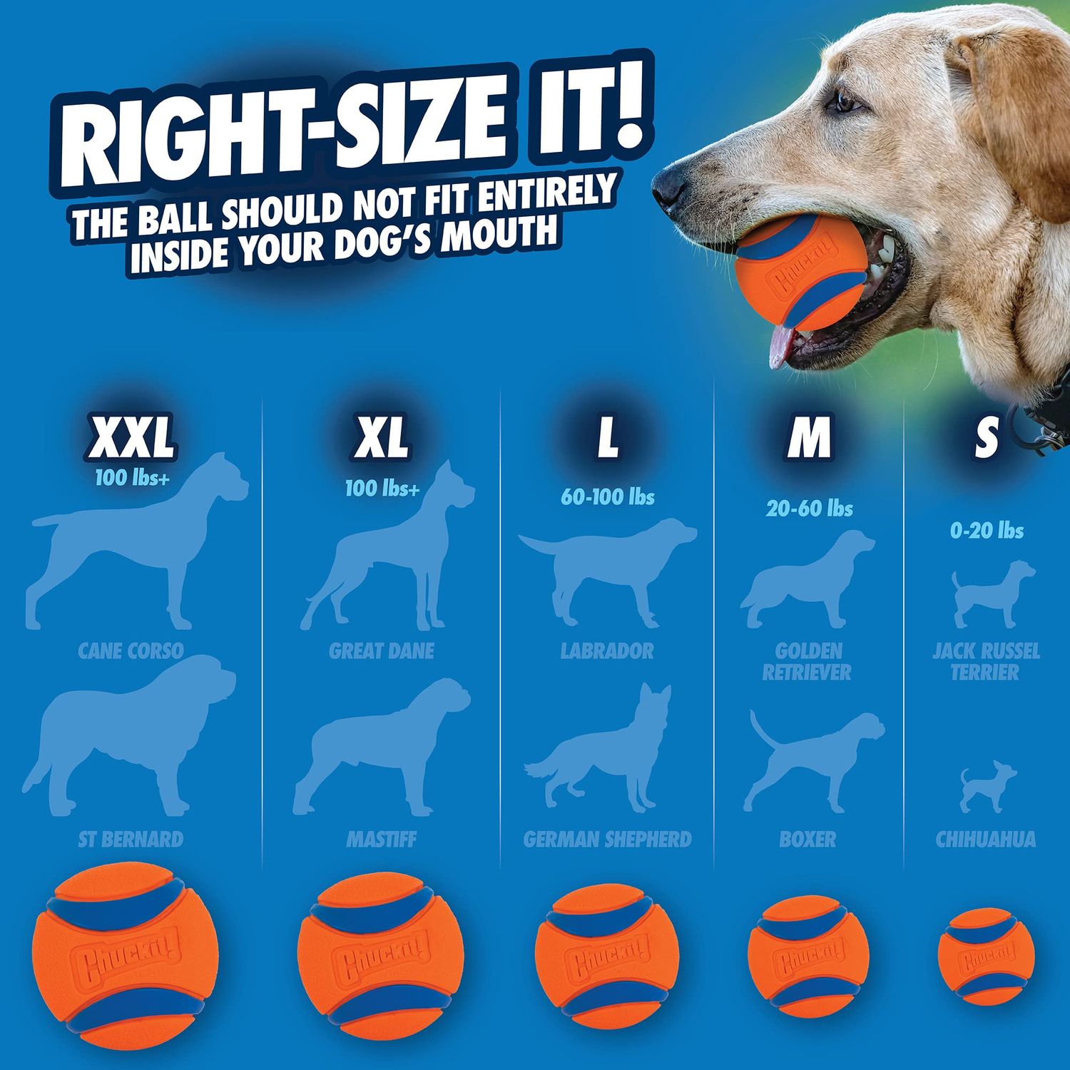 Chuckit! Ultra Ball Dog Toy, Medium (2.5 Inch Diameter) Pack of 1, for breeds 20-60 lbs