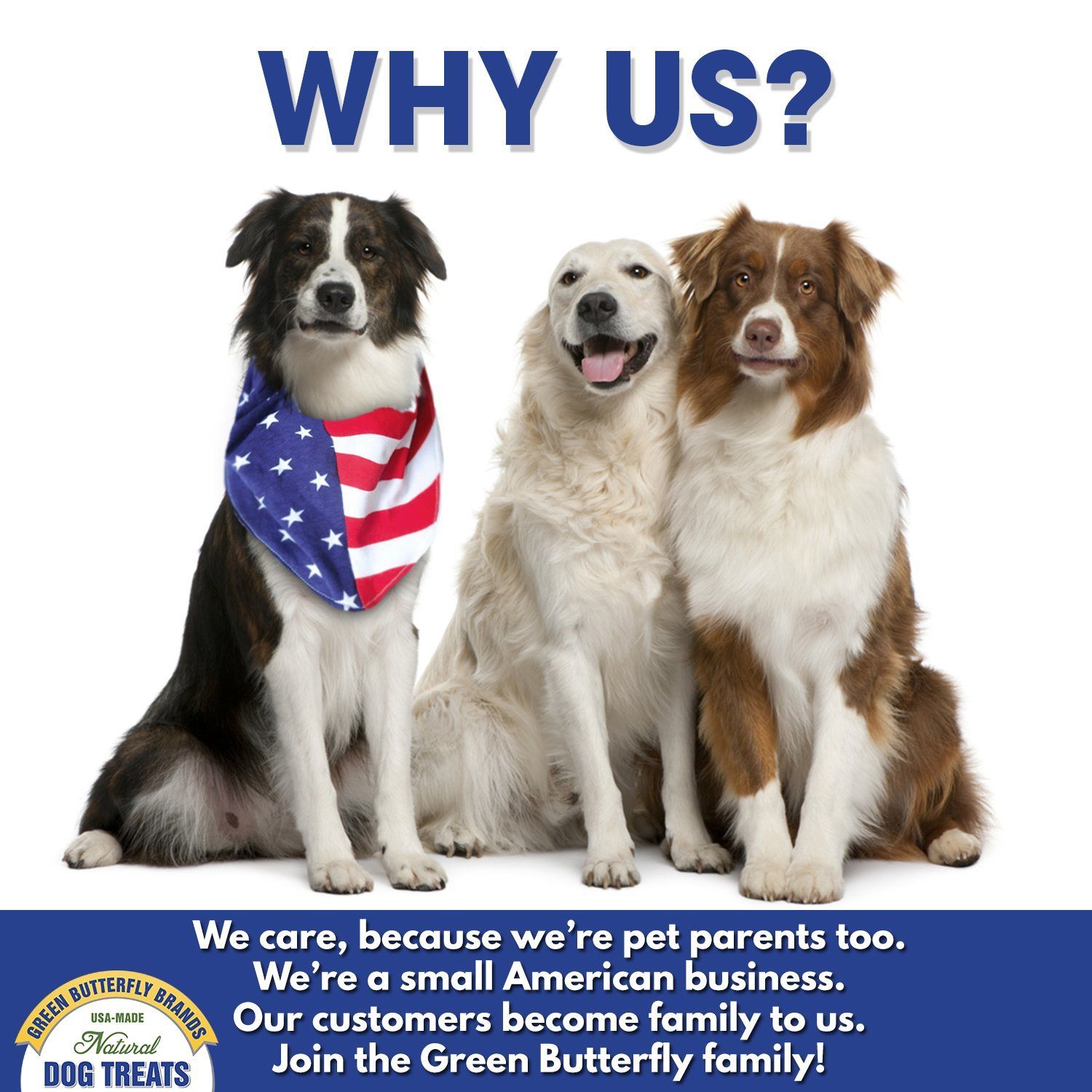 Green Butterfly Brands Beef Tendons for Dogs Made in USA. 6-10 Inch Grass Fed Farm-Raised American Beef Dog Treats. All Natural Dog Dental Chews. Grain Free Odor-Free Beef Dog Chews (8 OZ)