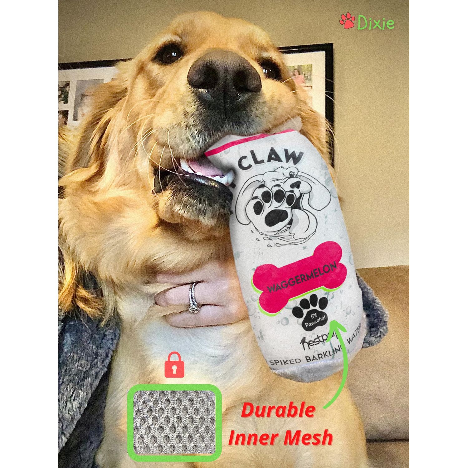 Nestpark Pup Claw Dog Toys - Funny Cute Plush Dog Toys with Squeaker - Parody (2 Pack) (Tropical Pack)