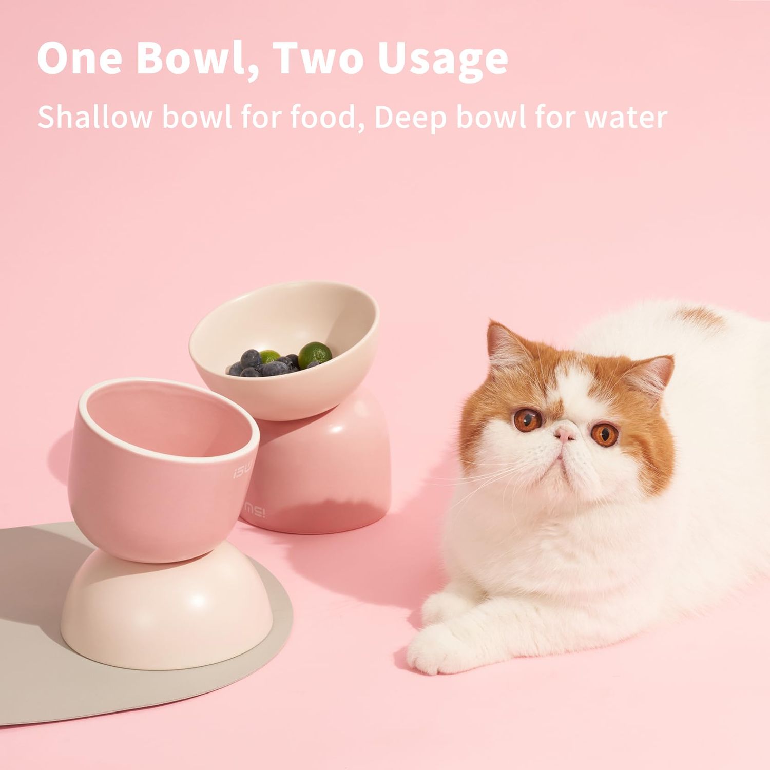 MS!MAKE SURE Elevated Cat Bowl, Ceramic Tilted Cat Food Bowl, Anti Vomit & Whisker Fatigue Cat Bowls for Food and Water (Green)