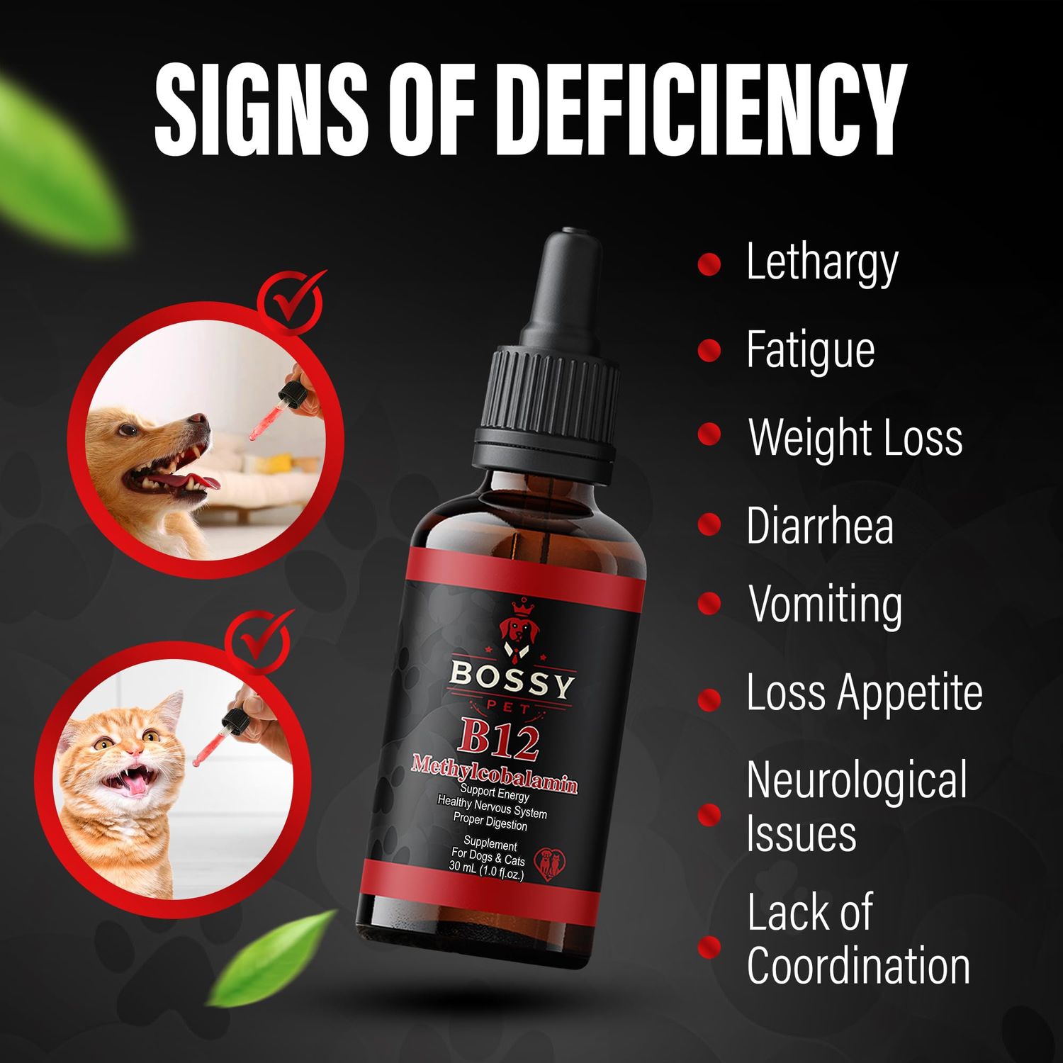 B12 Liquid for Dogs & Cats - Vitamin B12 for Dogs & Cats - Liquid Vitamin B12 for Pets - Methylcobalamin Liquid for Dogs & Cats - Vitamin Supplement for Pets - Vet Formulated