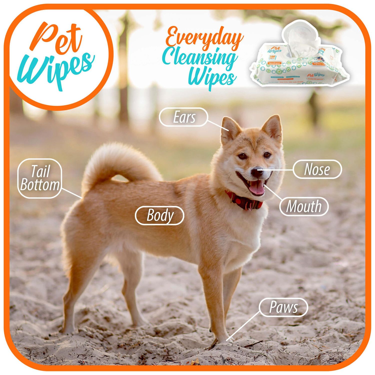 Txakur pet wipes for dogs and cats hypoallergenic natural products for cleansing