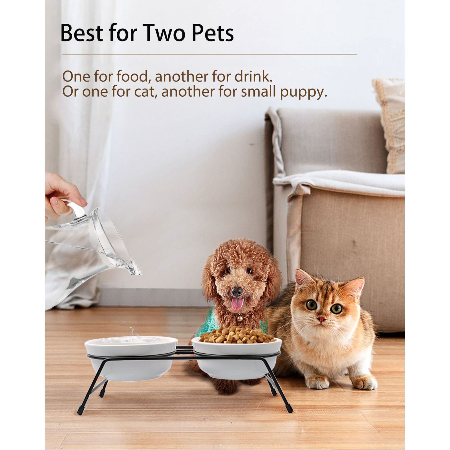 Cat Bowls, Upgraded 13 oz Ceramic Elevated Cat Food Bowls for Food and Water, Raised 2 Cat Dishes with Stainless Steel Stand Non-Slip and Anti-Rust, for Indoor Cats and Small Dog Bowl, Dishwasher Safe
