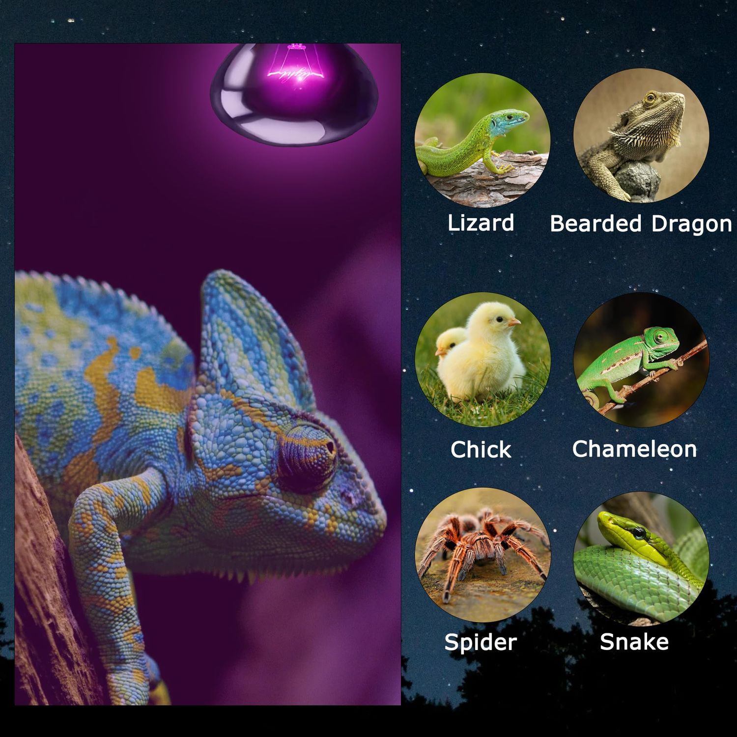 HARTOMPET 60W Reptile Night Light Bulb - Simulate Natural Moonlight for Bearded Dragons, Lizards, Snakes, and Amphibians - UVA Basking Lamp for Aquariums & Tanks, Enhance Health and Activity