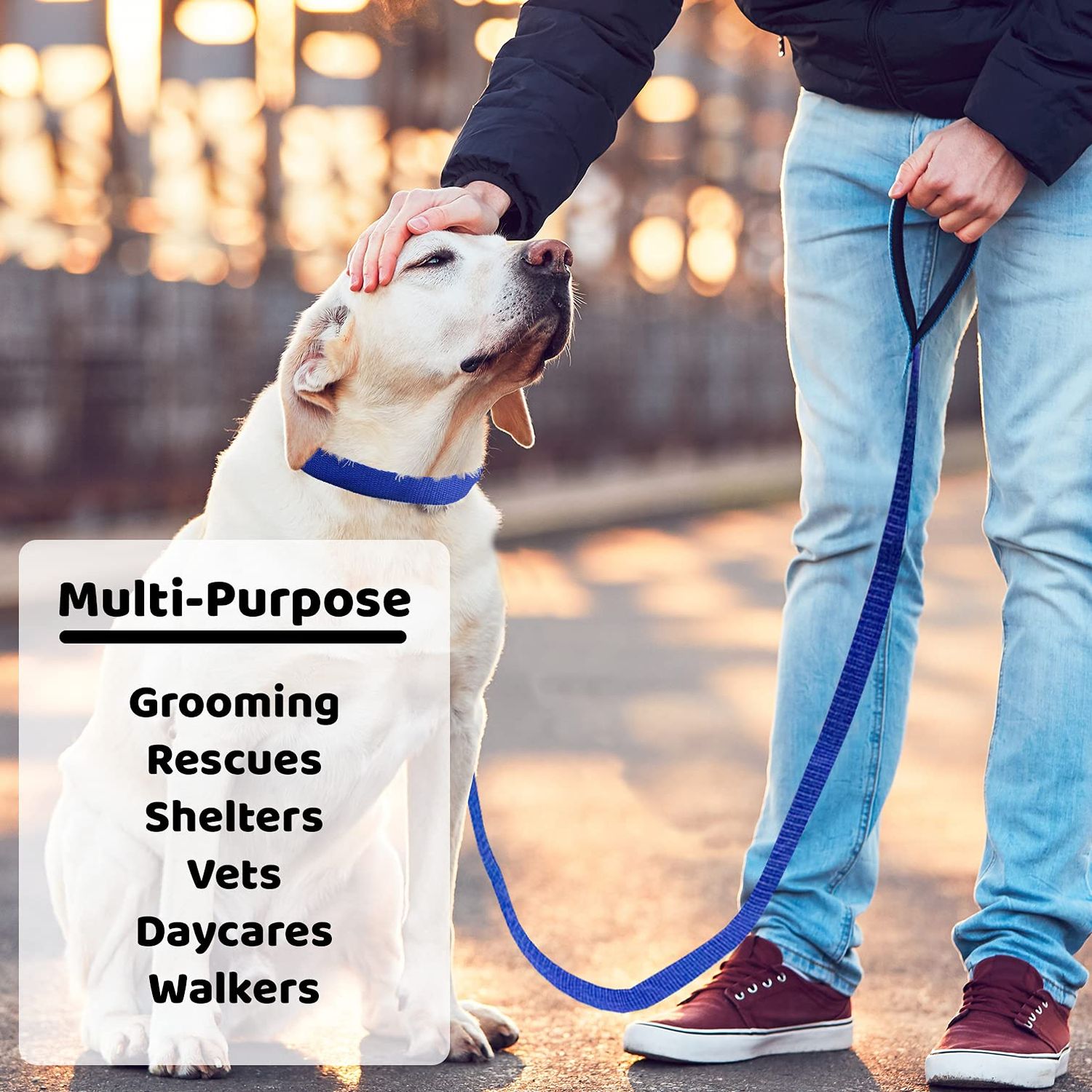 Downtown Pet Supply - 6ft Dog Kennel Slip Lead Dog Leash - Veterinarian, Dog Grooming, Daycare & Animal Rescue Dog Supplies - One Size Leads for Dogs Bulk - 1" Thick - 12 Pack