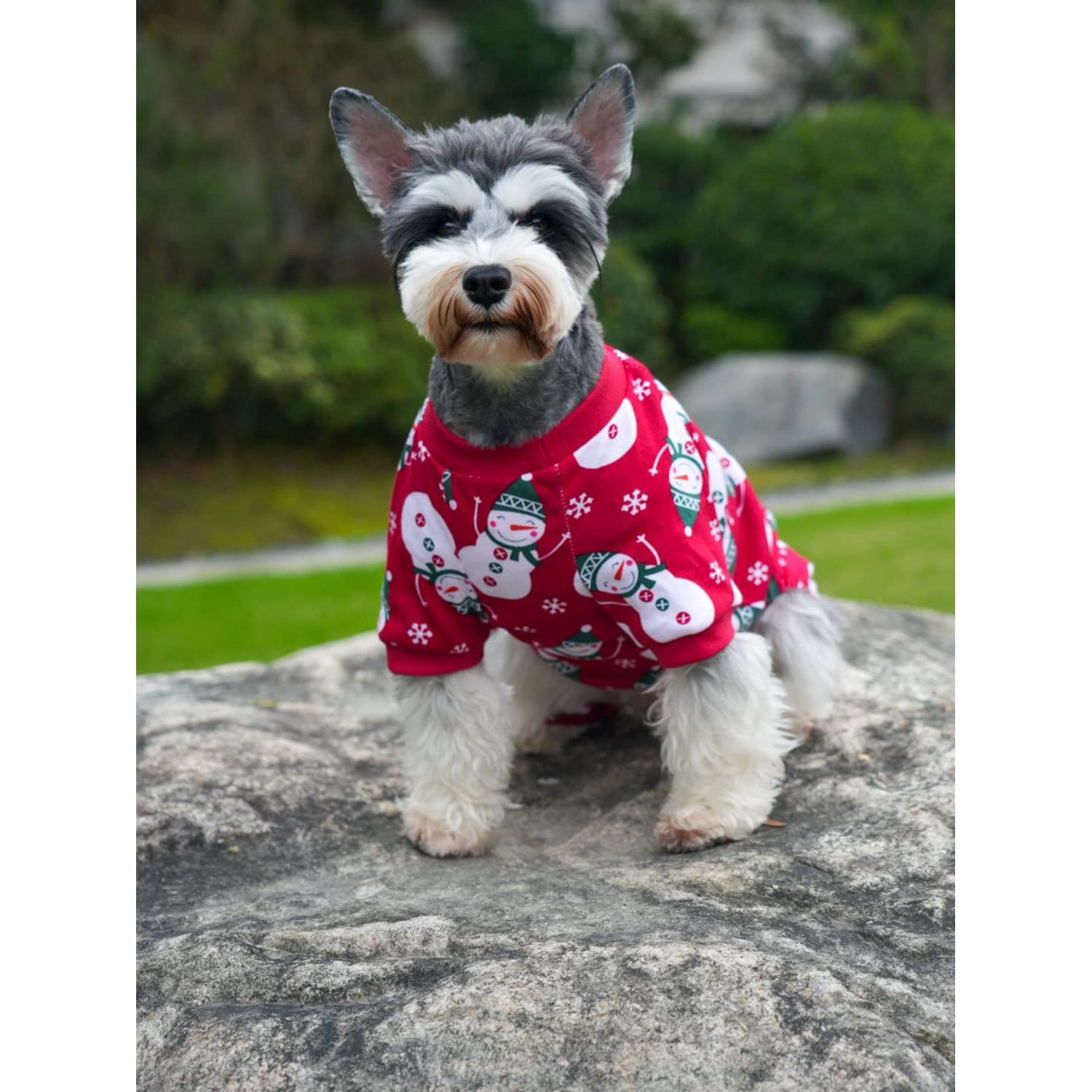Lanyarco Cute Snowman Reindeer Pet Clothes Christmas Dog Pajamas Shirts, Red Back Length 12" Small