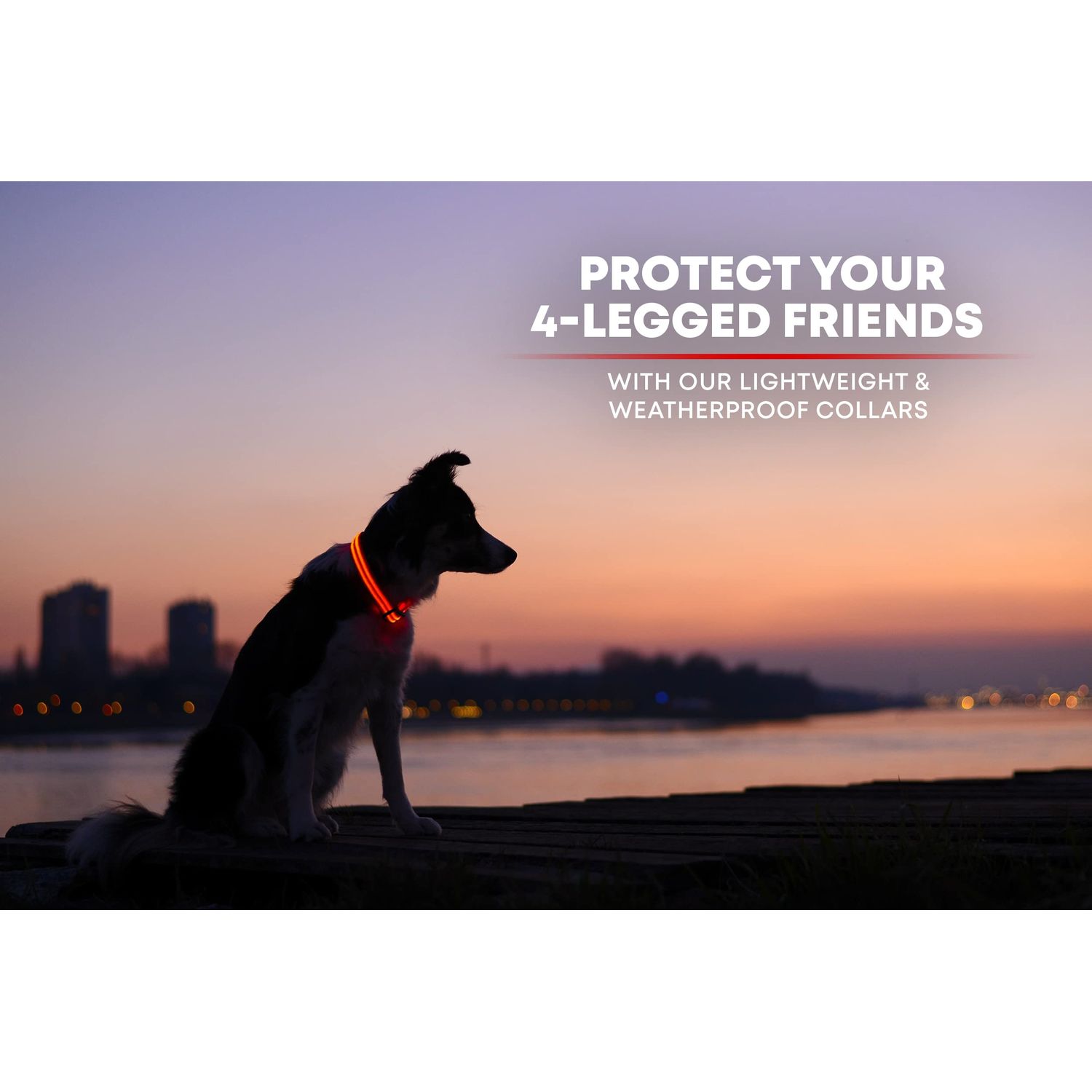 ILLUMISEEN LED Dog Collar USB Rechargeable ? Bright & High Visibility Lighted Glow Collar for Pet Night Walking ? Weatherproof, in 6 Colors & 6 Sizes (Red Medium)