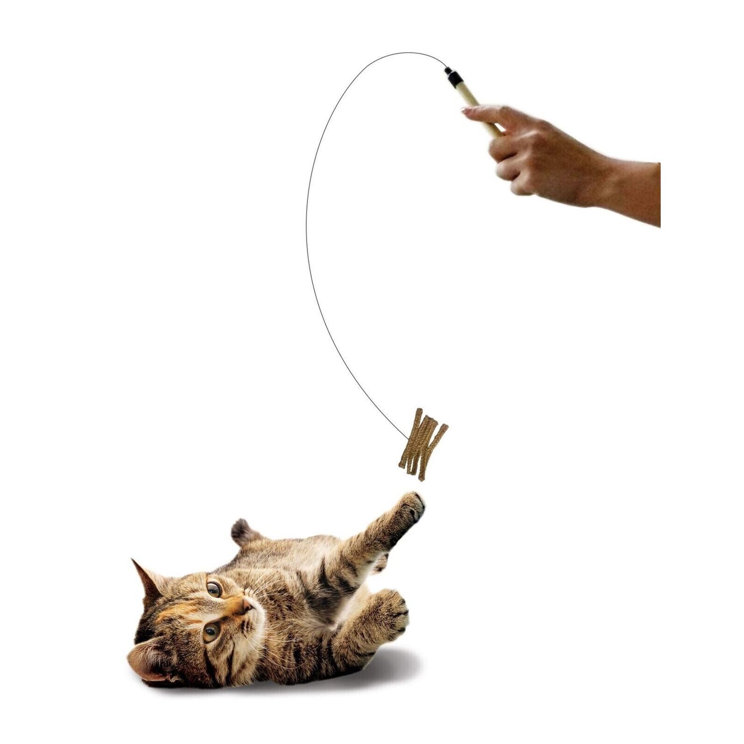 Spot Cat Prancer Teaser Wand Assorted Catnip Cat Toy, 44 in