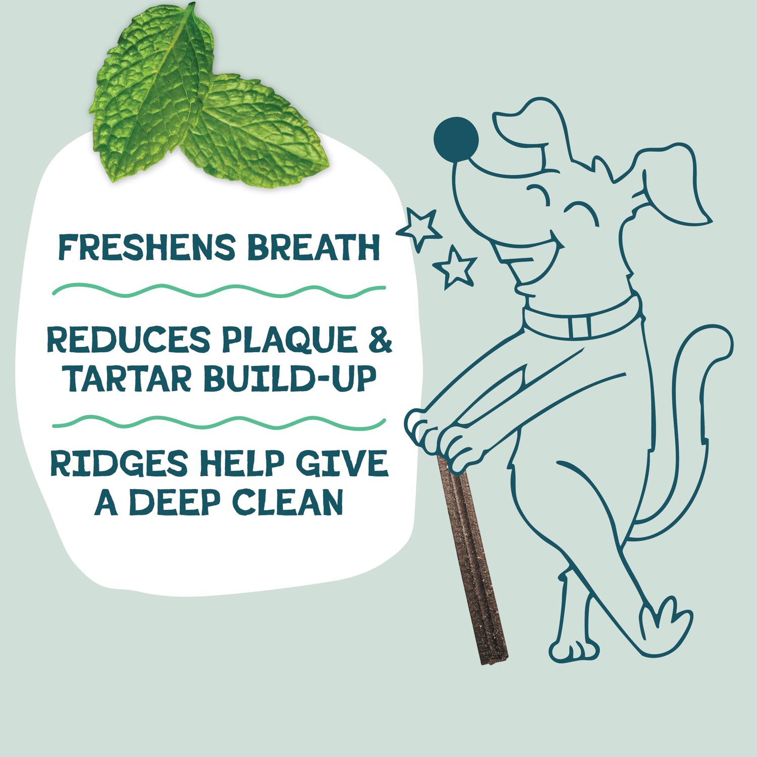Shameless Pets Dental Treats for Dogs, A Cluck A Day - Healthy Dental Sticks with Digestive Support for Teeth Cleaning & Fresh Breath - Dog Bones Dental Chews Free from Grain, Corn & Soy