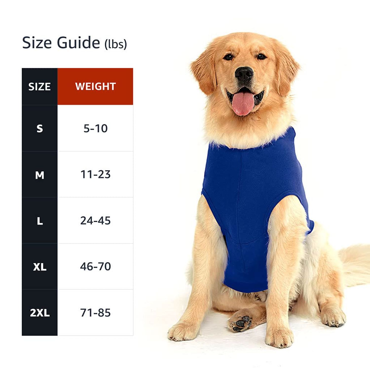 Let's Go Camping Dog Shirt with Hoodie - Tent Dog Hoodie - Camping Dog Clothing - Gray White, S