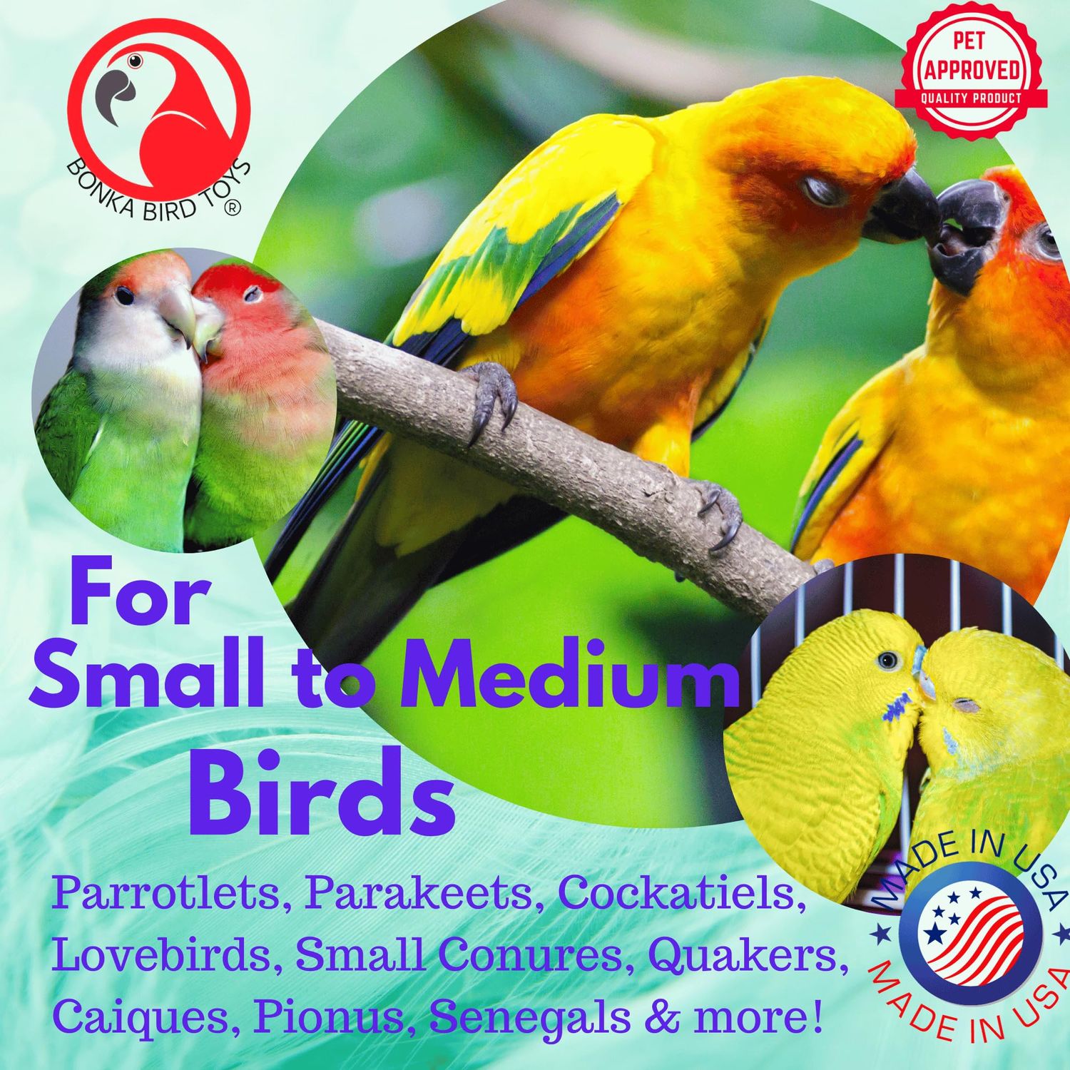 Bonka Bird Toys 2557 Sola Spider - Natural Chewable Toy for Small to Medium Birds, 11" x 12", Eco-Friendly, Conure, Pionus, Lories, and Similar Breeds