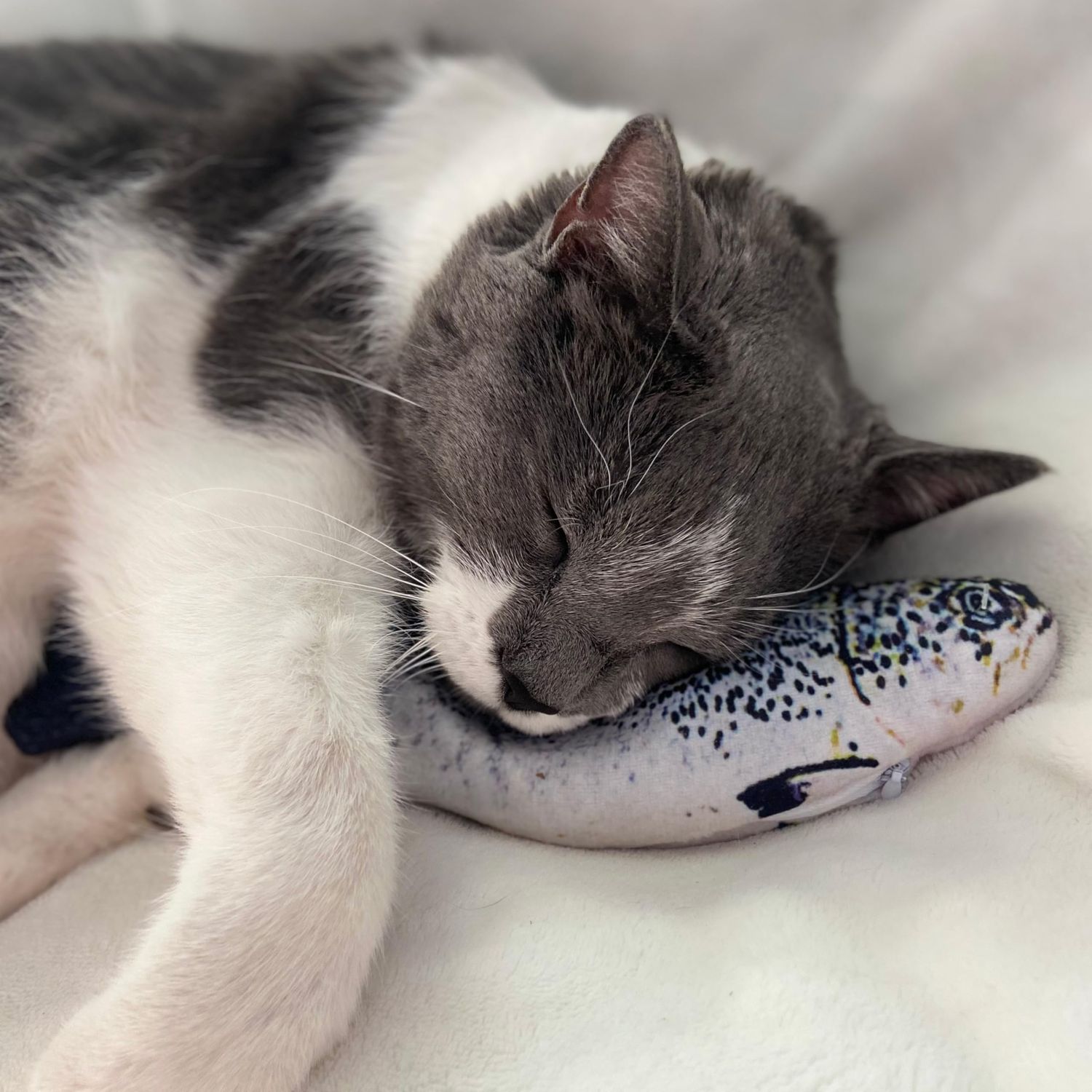 SPOT Flippin' Fish Interactive Cat Toy with Catnip for Indoor Cats & Kittens - Touch Activated, Flipping Tail, Rechargeable with USB, Hours of Fun - 11.5 inch