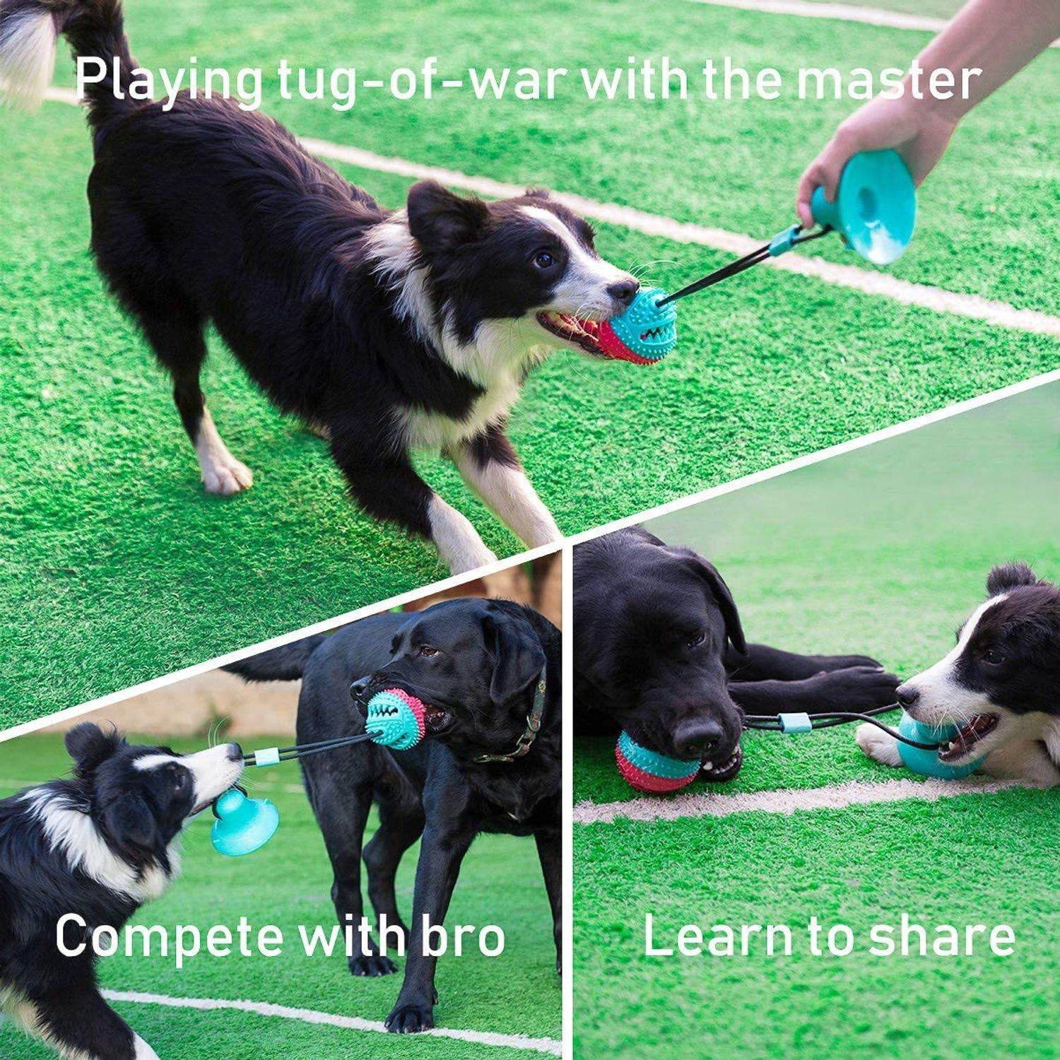 ALLRIER Interactive Dog Toys Tug of War, Mentally Stimulating Toys for Dogs, Puppy Teething Toys for Boredom, Dog Puzzle Treat Food Dispensing Ball Toy for Small Medium Dogs