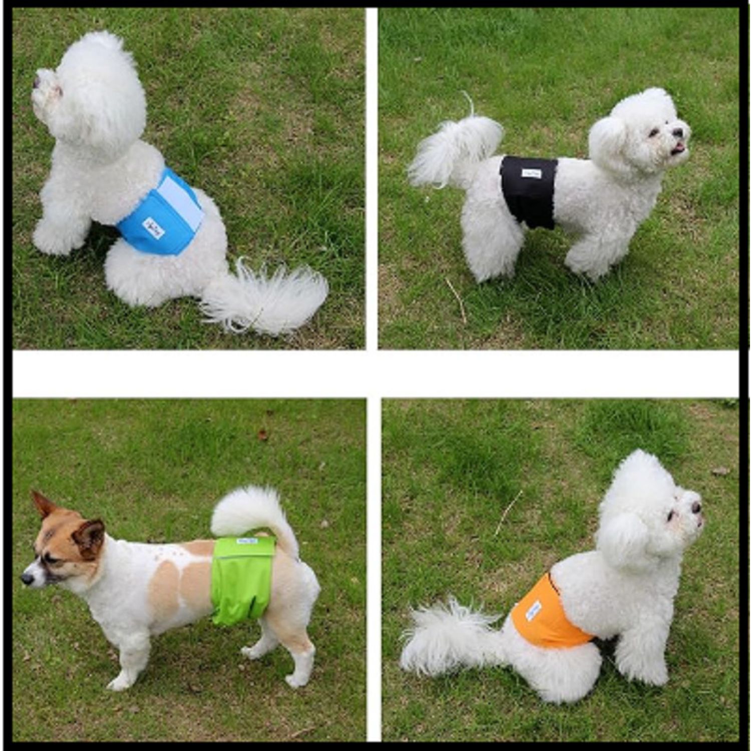 JoyDaog Reusable Belly Bands,5 Pack Premium Washable Dog Diapers Male , SMALL