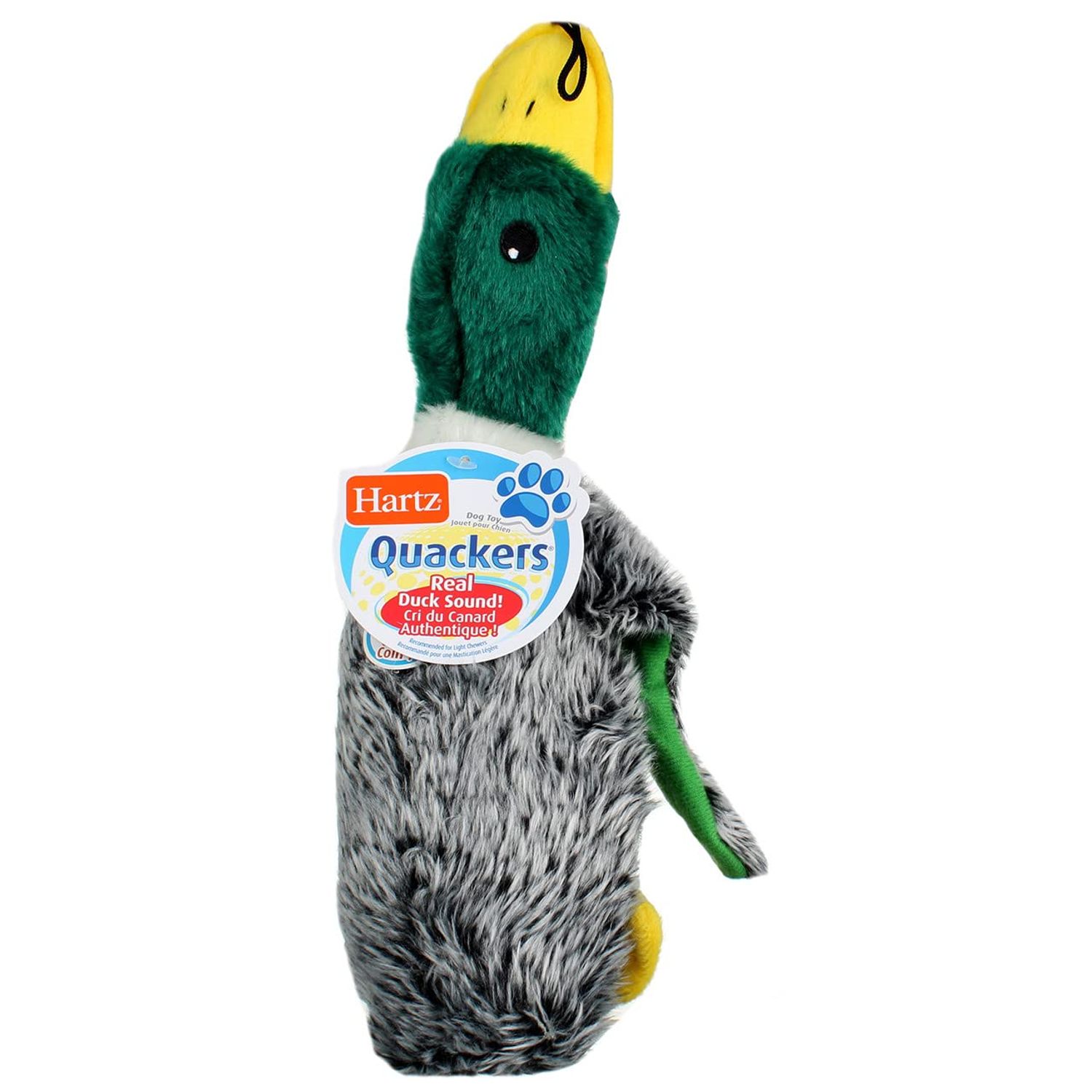 Hartz 05445 At Play Quackers Dog Toy Assorted Styles