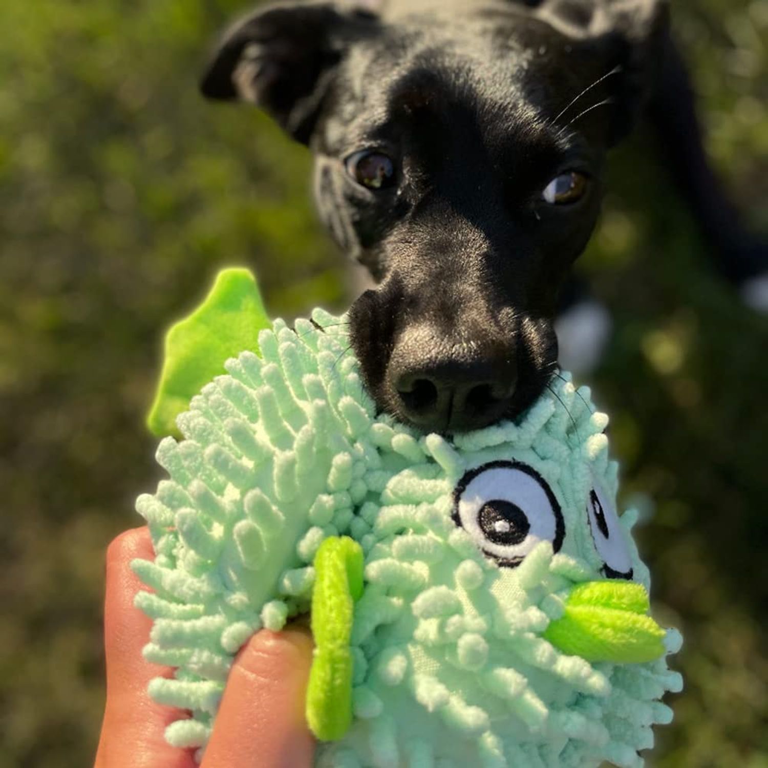 SmartPetLove Snuggle Puppy Tender-Tuffs Ball - Round Pufferfish Tough Dog Toy - Cute and Fun Plush Ball with Squeaker