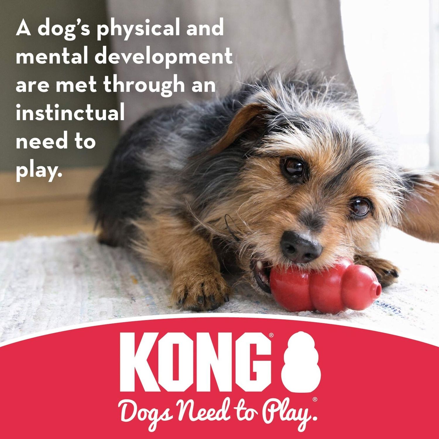 KONG Goodie Bone Durable Chew Toy for Dogs Stuffable Red Rubber Toy 1 Pack
