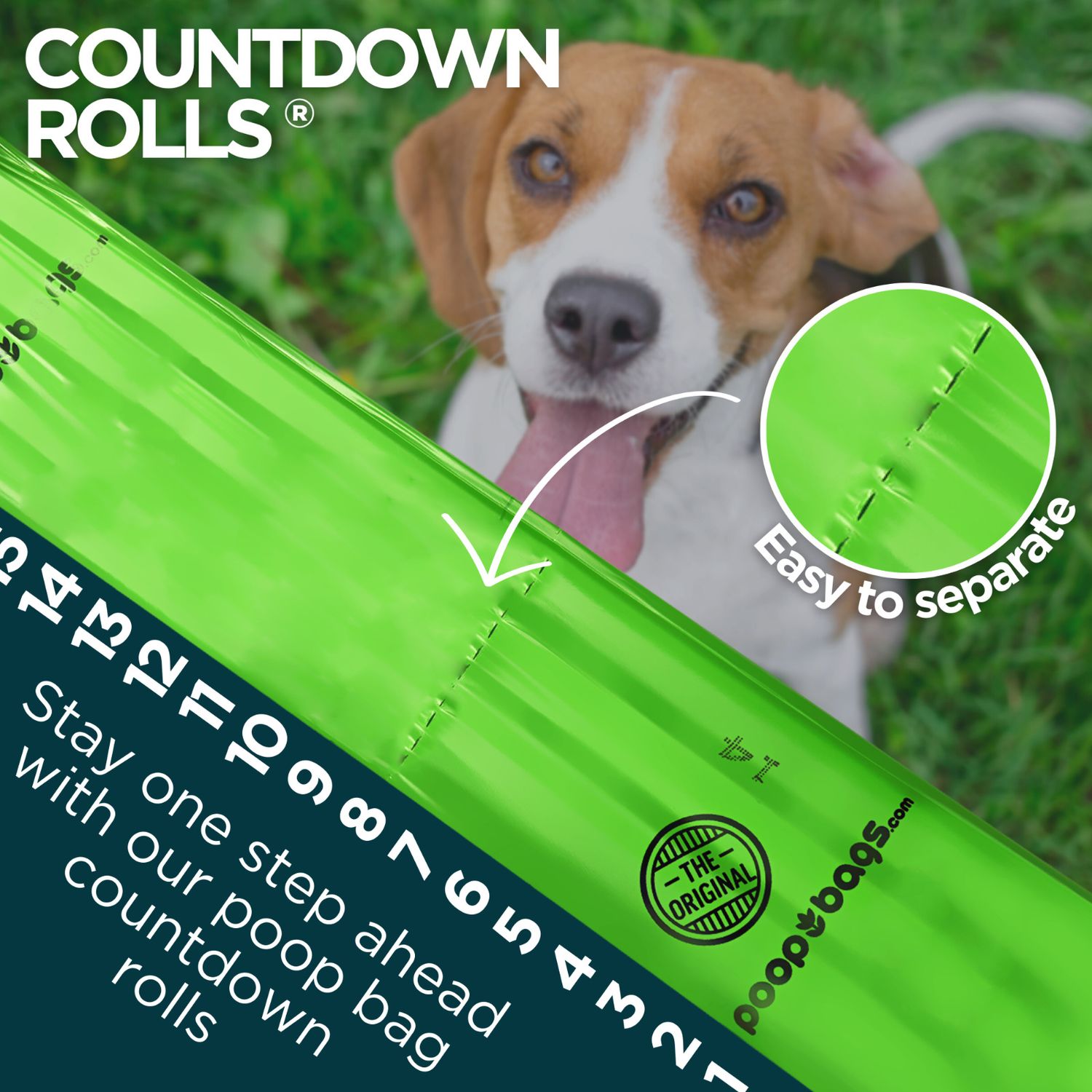 The Original Poop Bags® Pet Waste Bags Countdown Roll® Biobased Poop Bags, 960ct