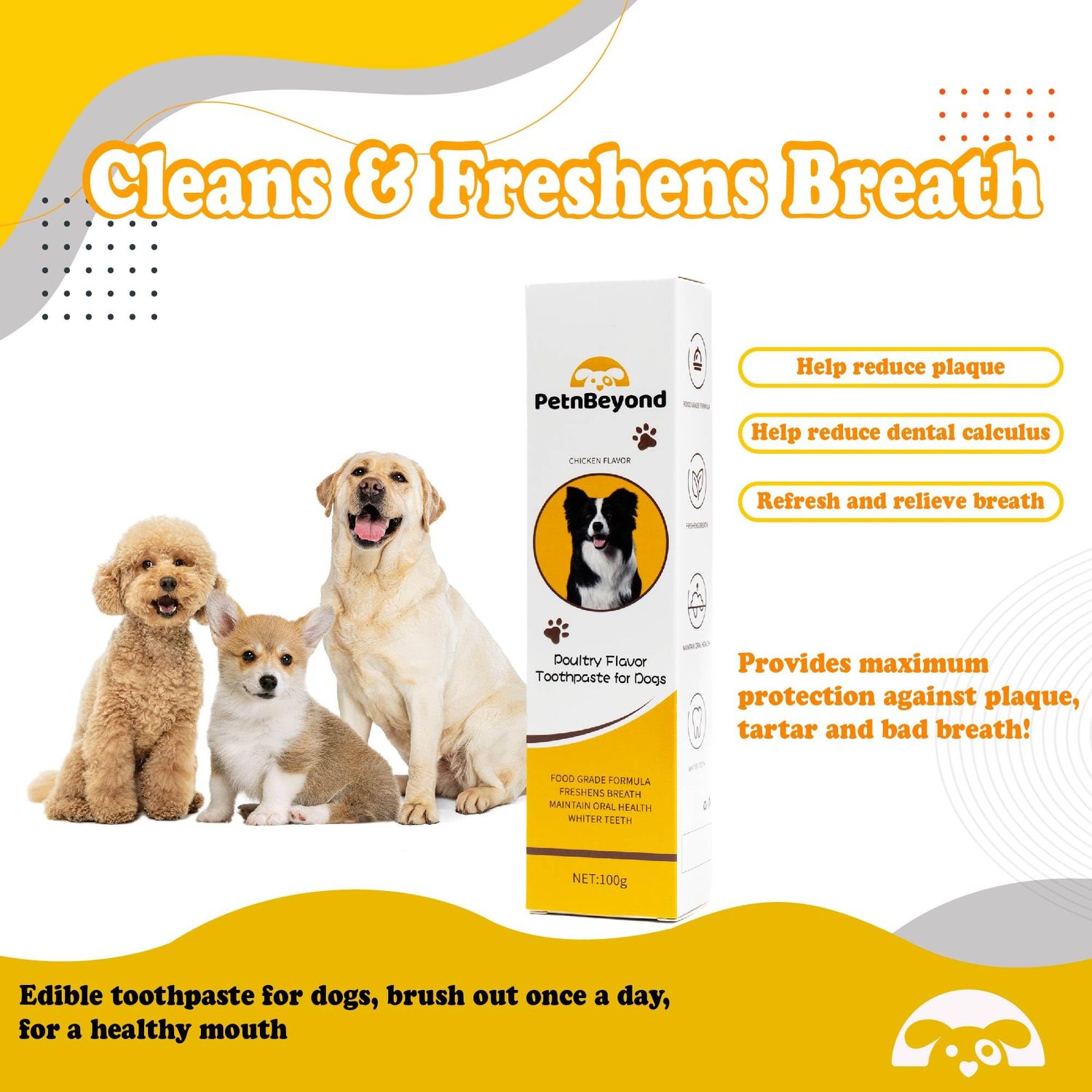 PetnBeyond Dog Toothpaste - Poultry Flavor Teeth Brushing Cleaner, Pet Breath Freshener, Oral Care, Professional Pet Toothpaste for Dogs and Cats. Controls Plaque, Tartar, Bad Breath, Reduces Plaque