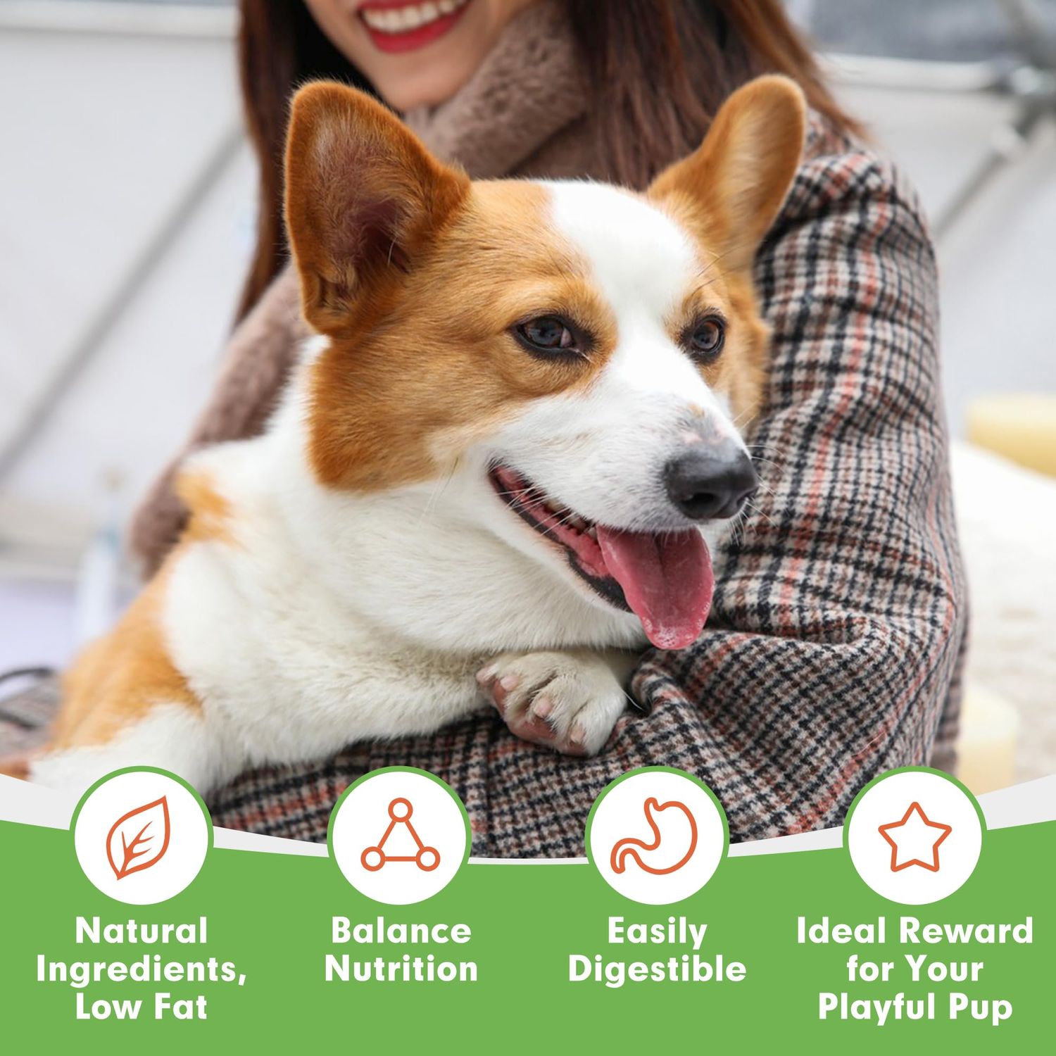 MON2SUN Dog Treats, Chicken Jerky Strips for Small Dogs, High Protein & Grain Free Dog Snacks, Easy to Digest Dog Training Treats (Chicken, 10.58 Ounce -Pack of 1)