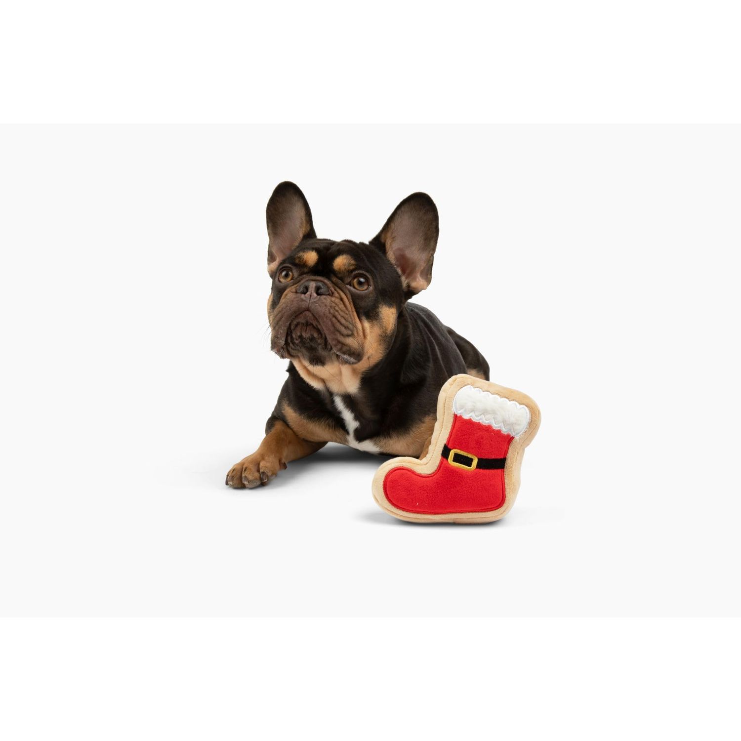 Midlee Santa Boot Sugar Cookie Dog Toy (Small)