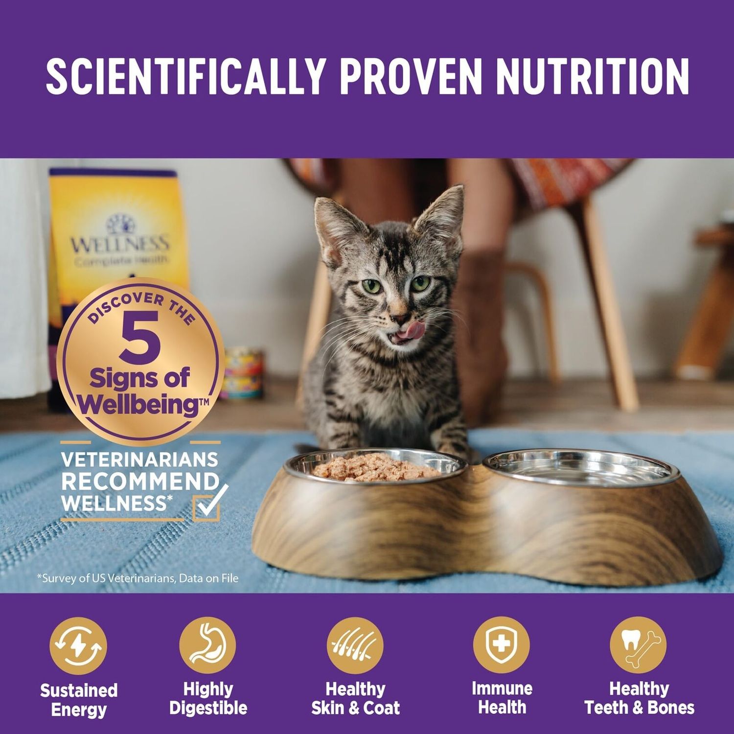 Wellness Grain Free Chicken Wet Cat Food 24 Pack 3 Ounce Pate Canned Cat Food