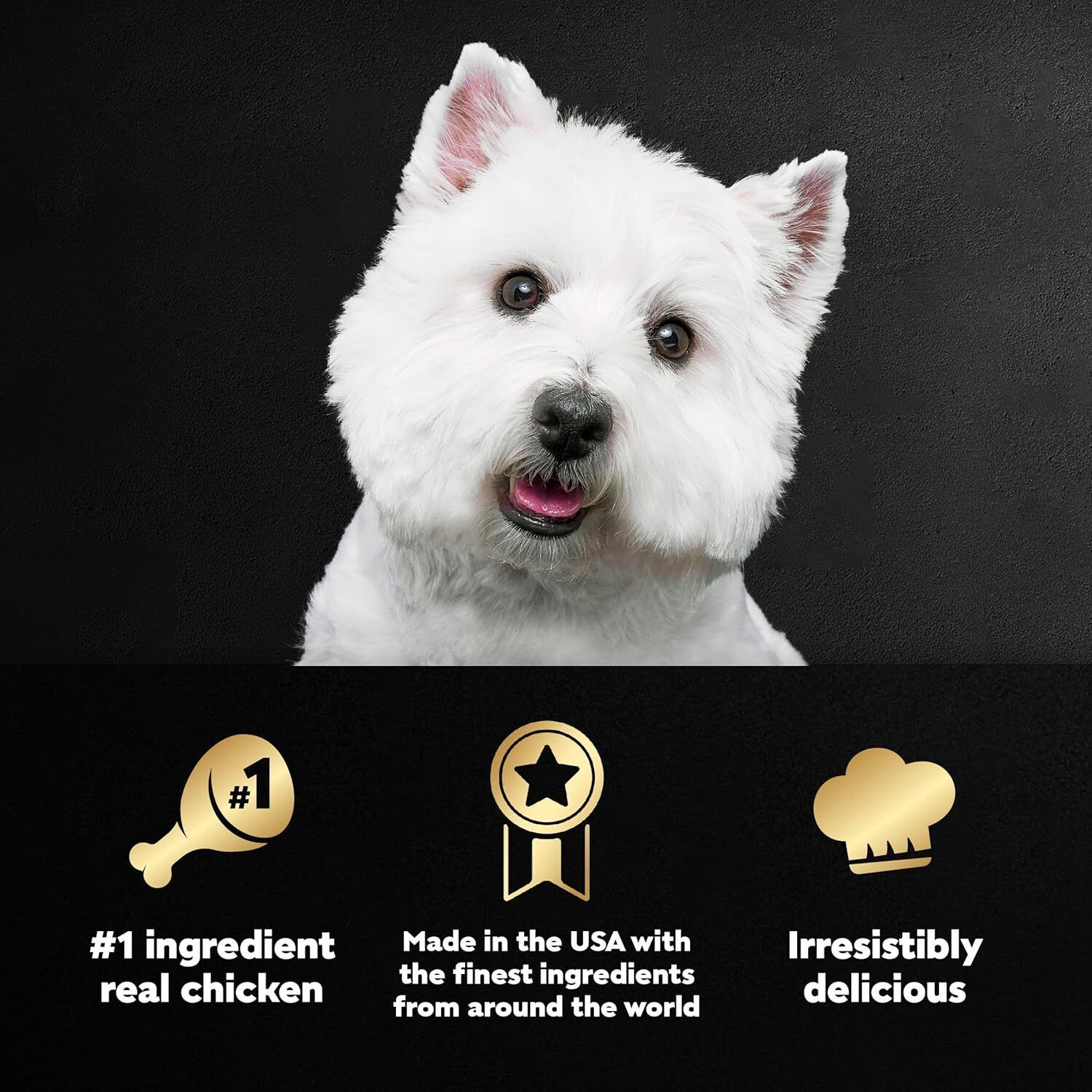CESAR HOME DELIGHTS Soft Wet Dog Food Hearty Chicken & Noodle Dinner in Sauce,