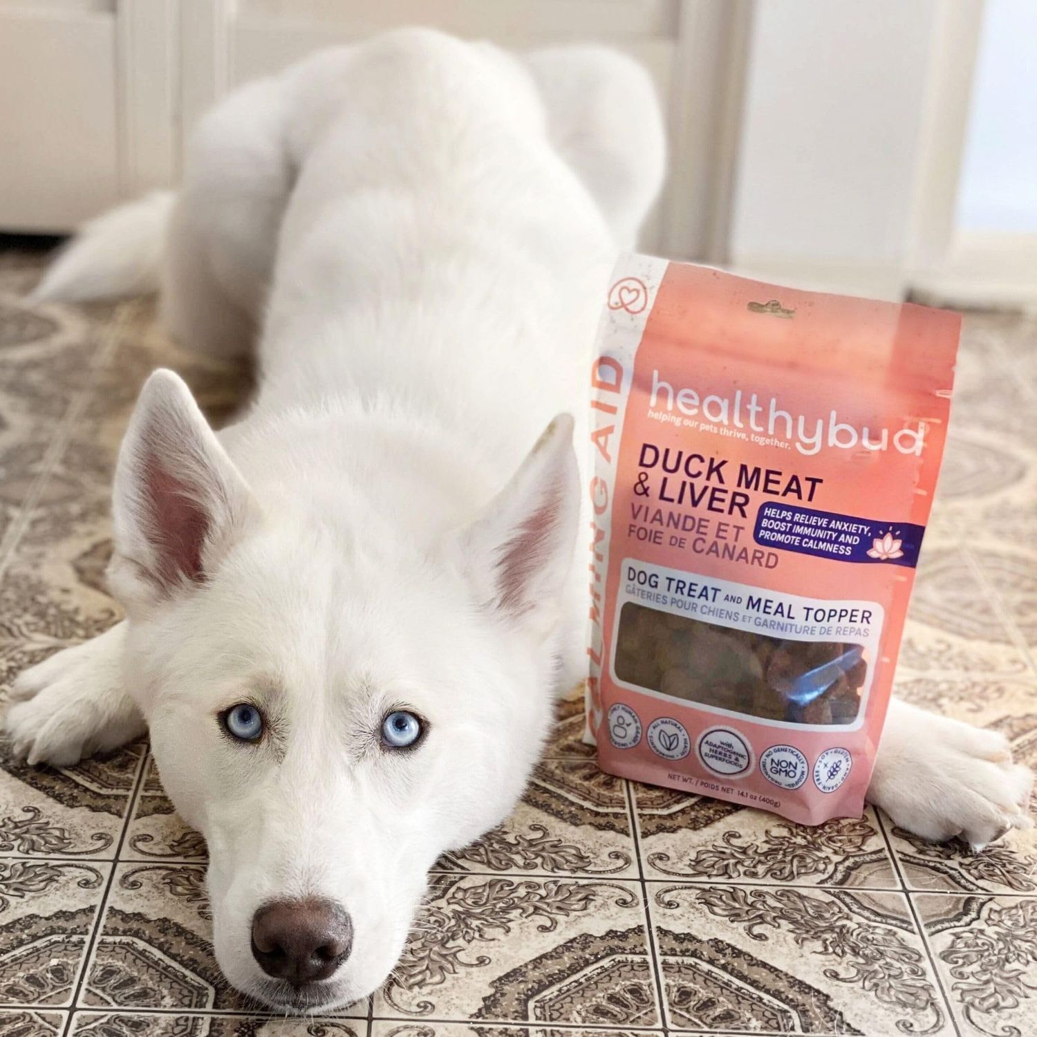 healthybud Calming Aid, Natural Duck Dog Treats & Toppers for Stress Relief - Dog Separation Anxiety, Stress Reduction, Aggression Relief - Support Calm, Immunity Health (14.1 Ounces)