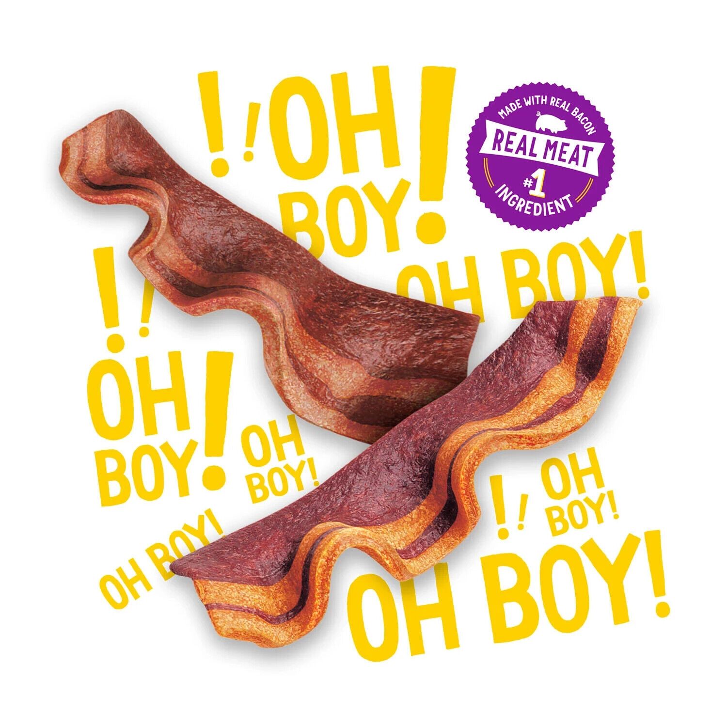 Purina Beggin' Strips Real Meat Dog Treats,Bacon&Bacon+Cheese Flavors 32 oz,2 pk