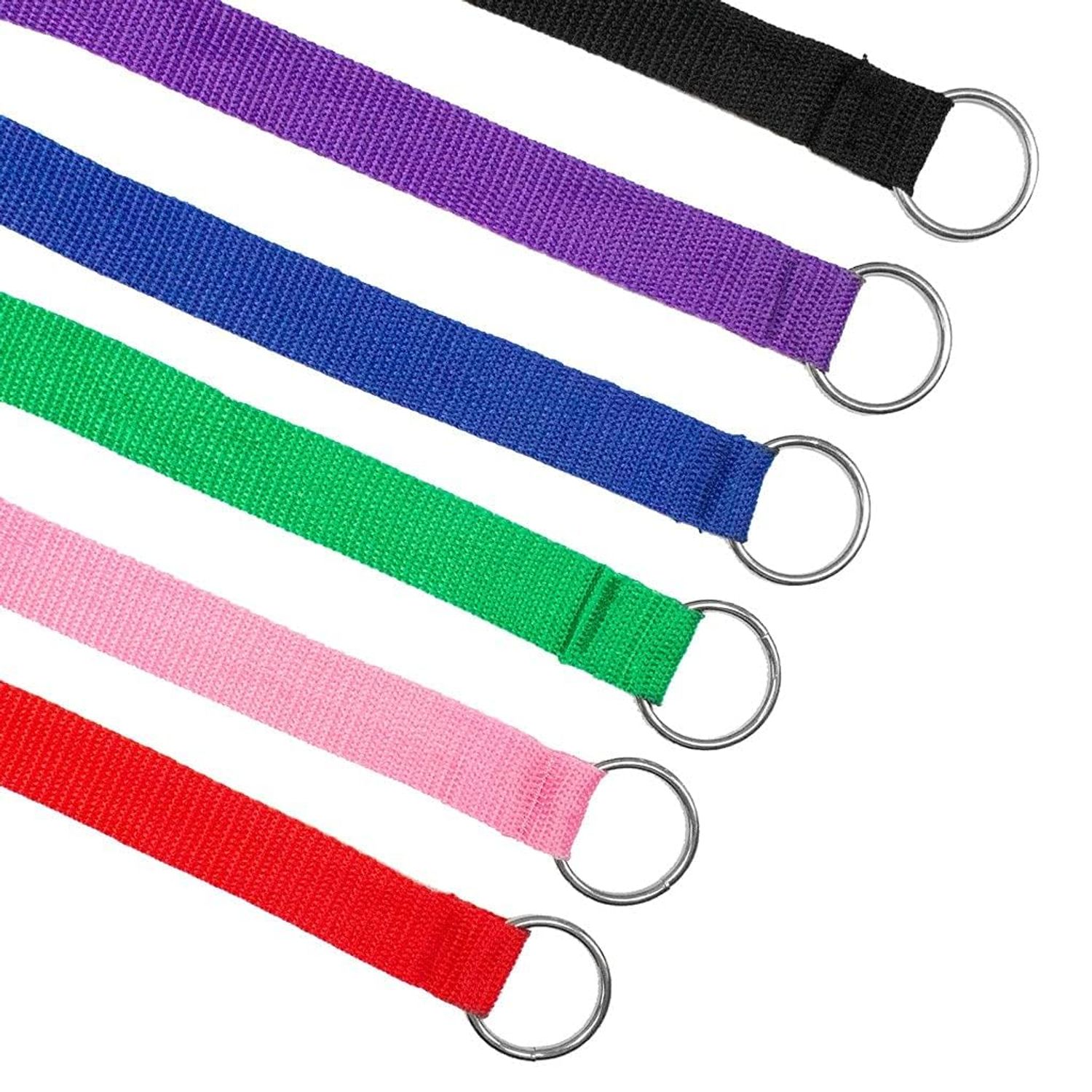 Downtown Pet Supply Slip Lead Dog Leash 24 Pack, 4' x 1/2" - Universal Dog Slip Leash with Metal O Ring - Machine Washable Dog Slip Lead for Groomers, Shelters, Rescues, Vets, or Doggy Daycares