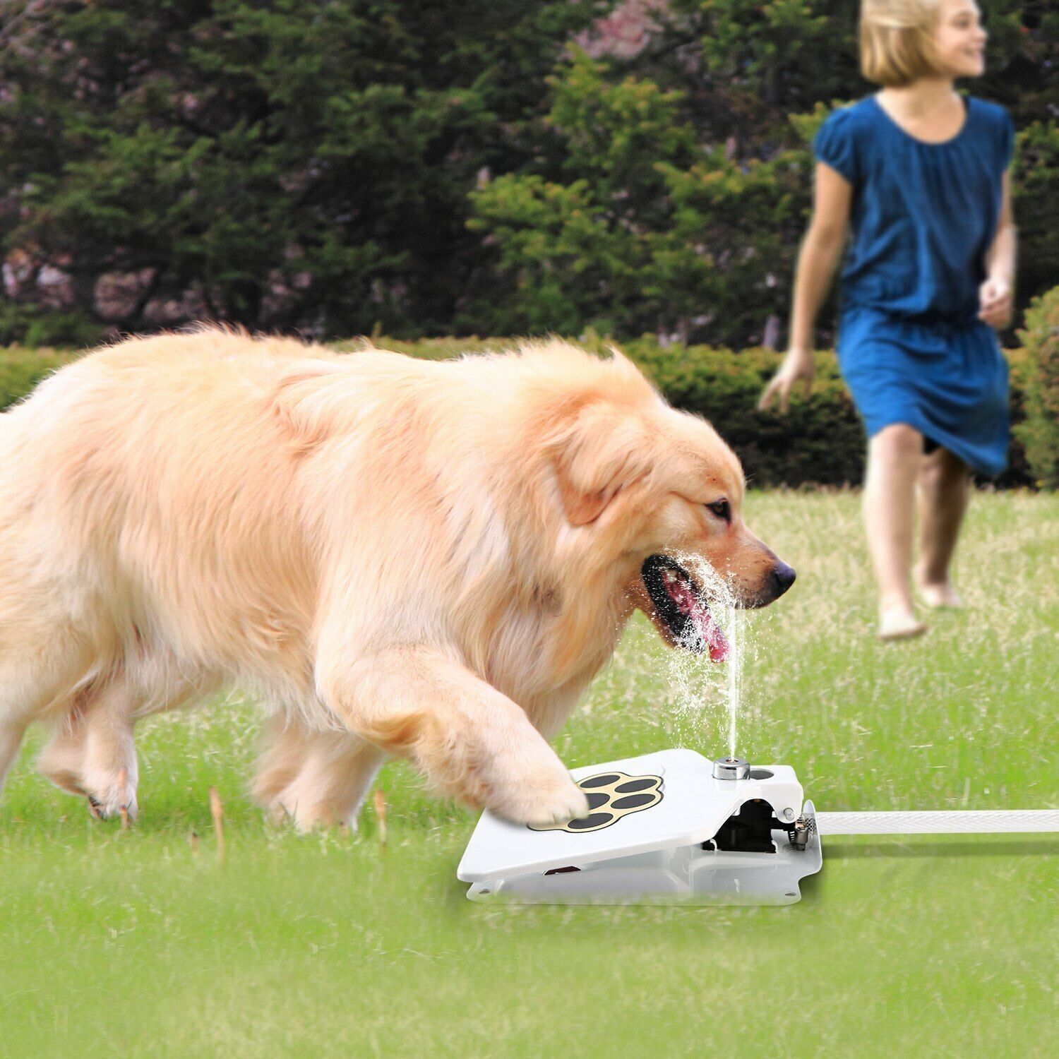 Dog Water Fountain Step-on Activated Sprinkler Toy for Drinking Fresh Water