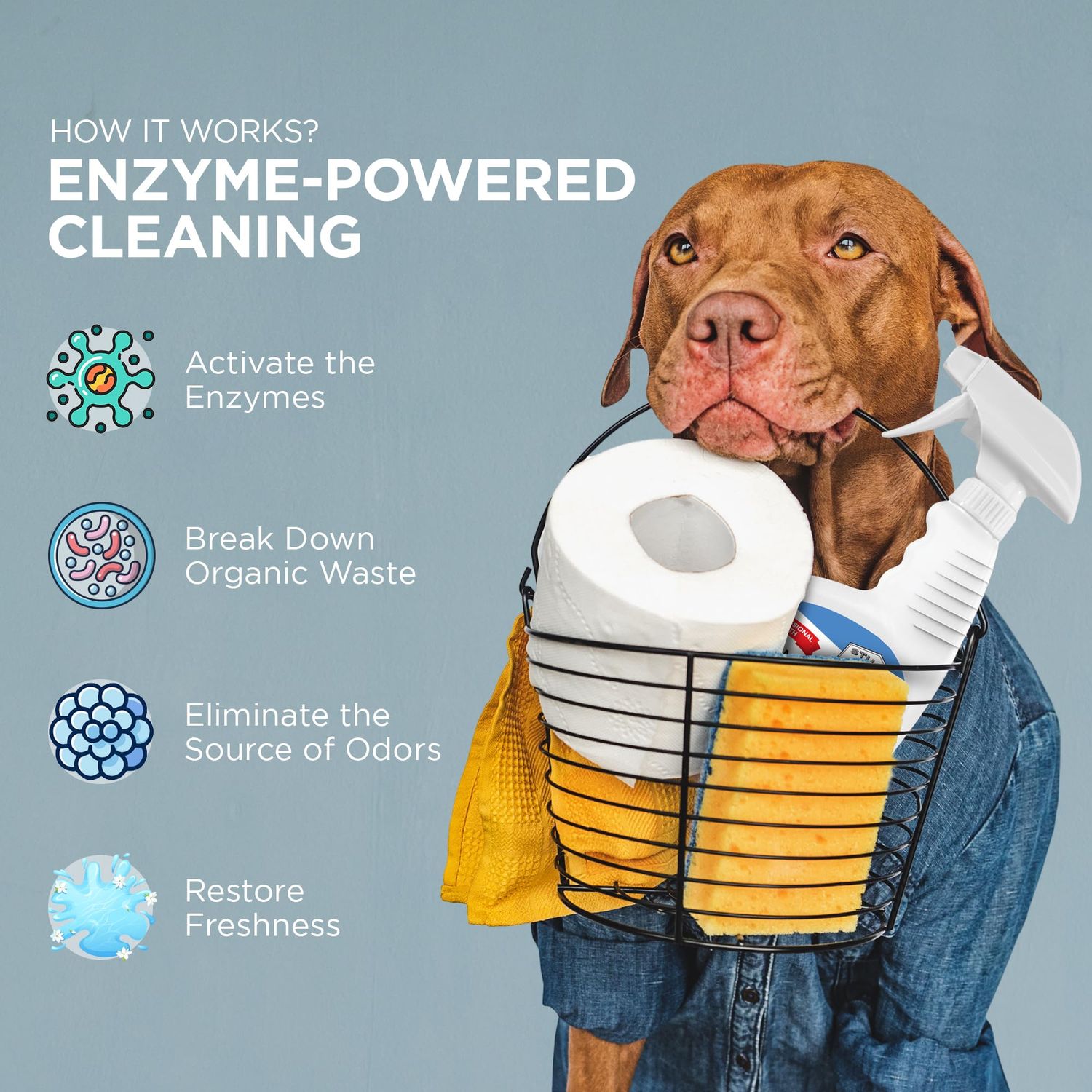 Stuart Pet Supply Co. Professional Strength Pet Stain and Odor Eliminator Urine Odor Remover Pet Urine Enzyme Cleaner Enzymatic Cleaner for Dog Urine and Cat Urine Pet Odor Eliminator (32 oz.)