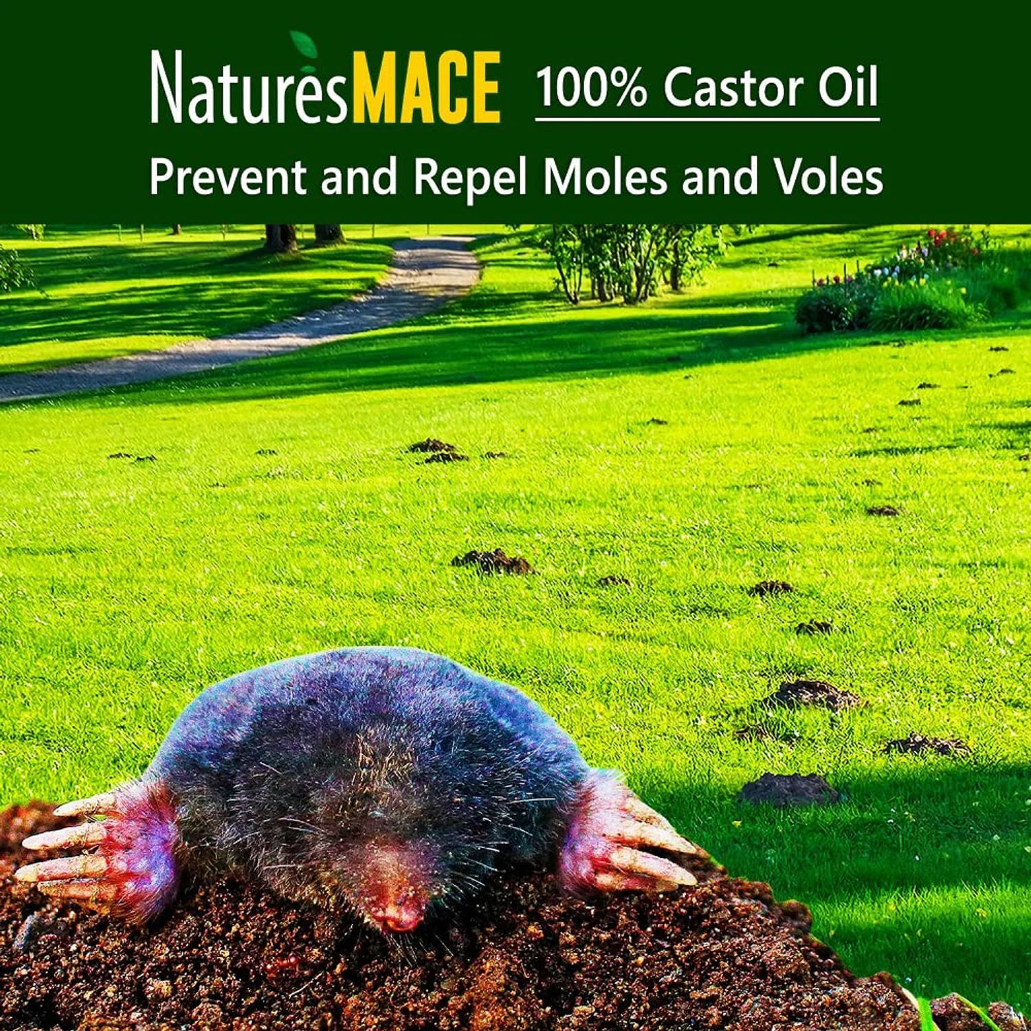 Nature’s Mace Mole and Vole MACE, 5 Gallon Castor Oil Concentrate, Outdoor Lawn & Garden Mole Control, Mole Remover, Vole Repellent Outdoor, Castor Oil for Moles, Stop Tunneling, Pet & Plant Safe