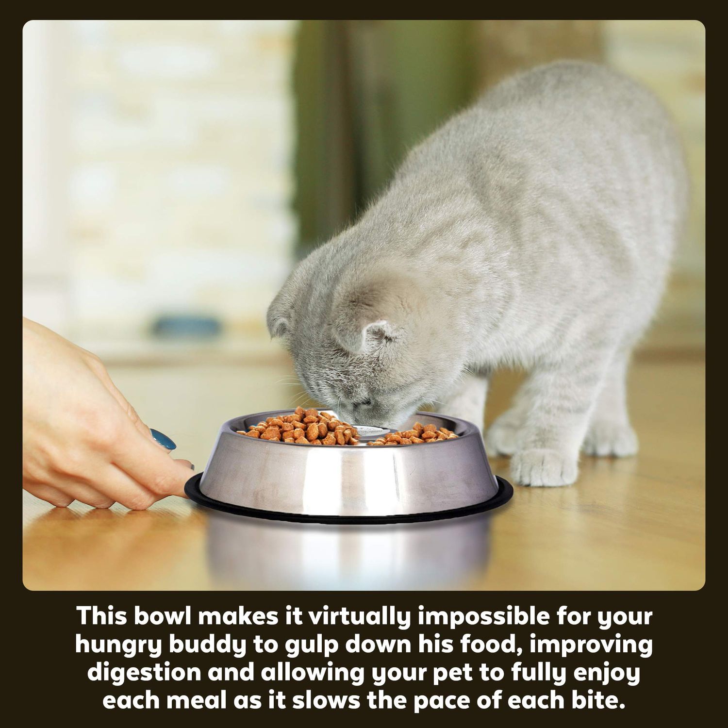 Iconic Pet Stainless Steel Slow-Feed Bowl Medium/24-Ounce Dishwasher Safe, Durable, and Featuring a Raised Center for Dogs and Cats